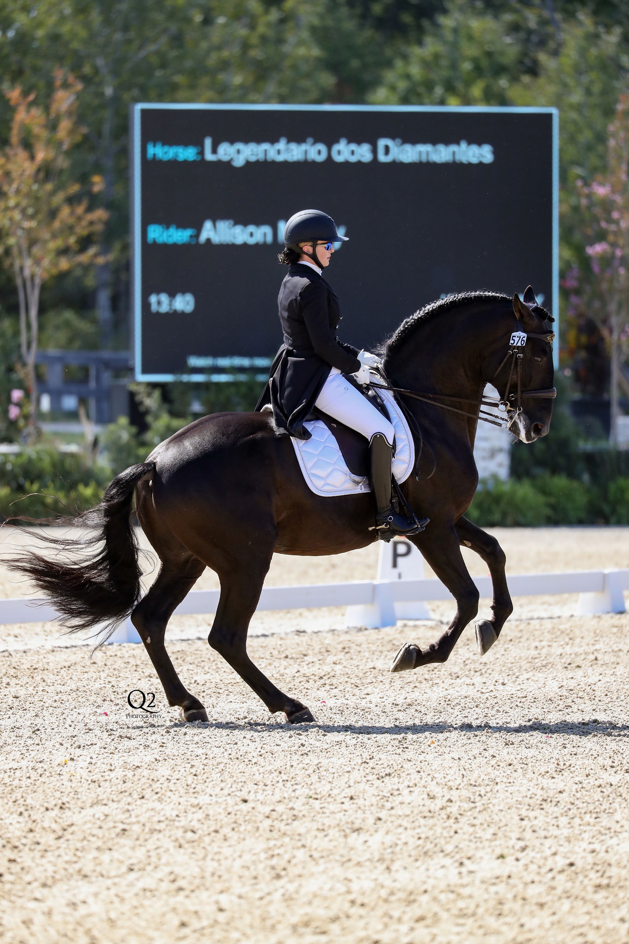 Back Allison Mathy's Dressage Dream campaign photo, 4 of 6