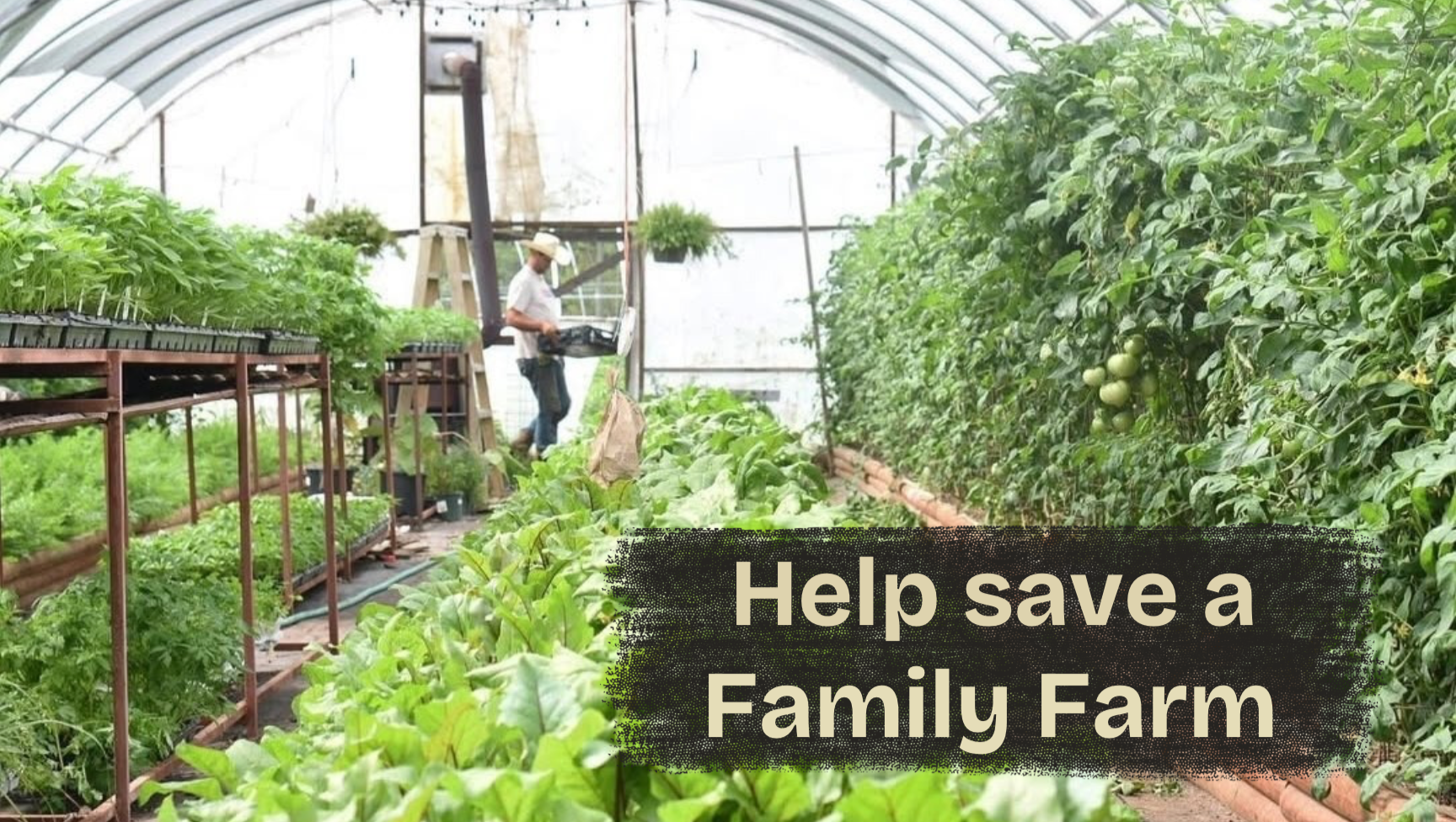 Fundraiser by Kassie Harris : Hat & Heart Farm Needs Help! 6th ...