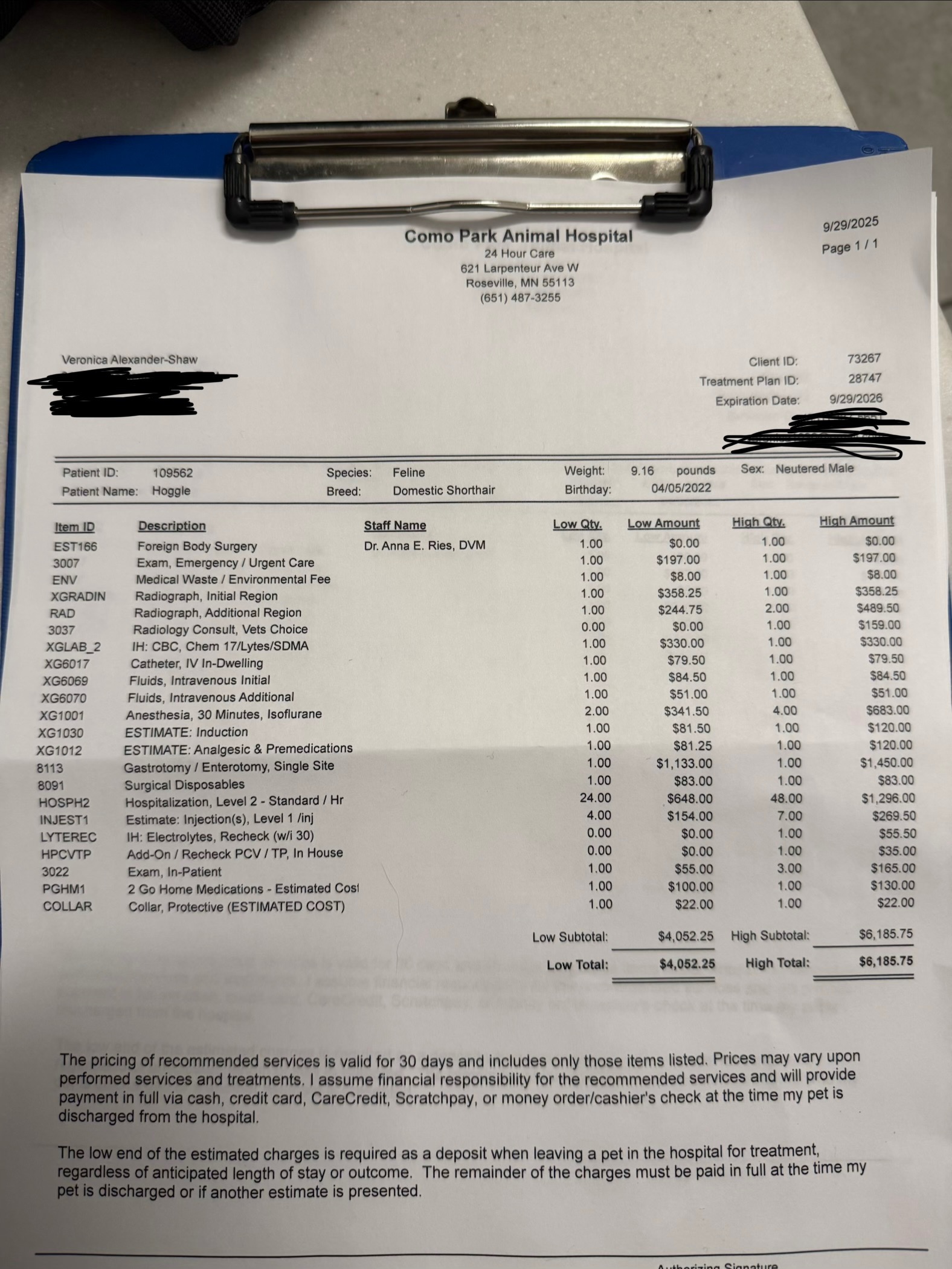 Hoggle’s vet bills campaign photo, 6 of 8