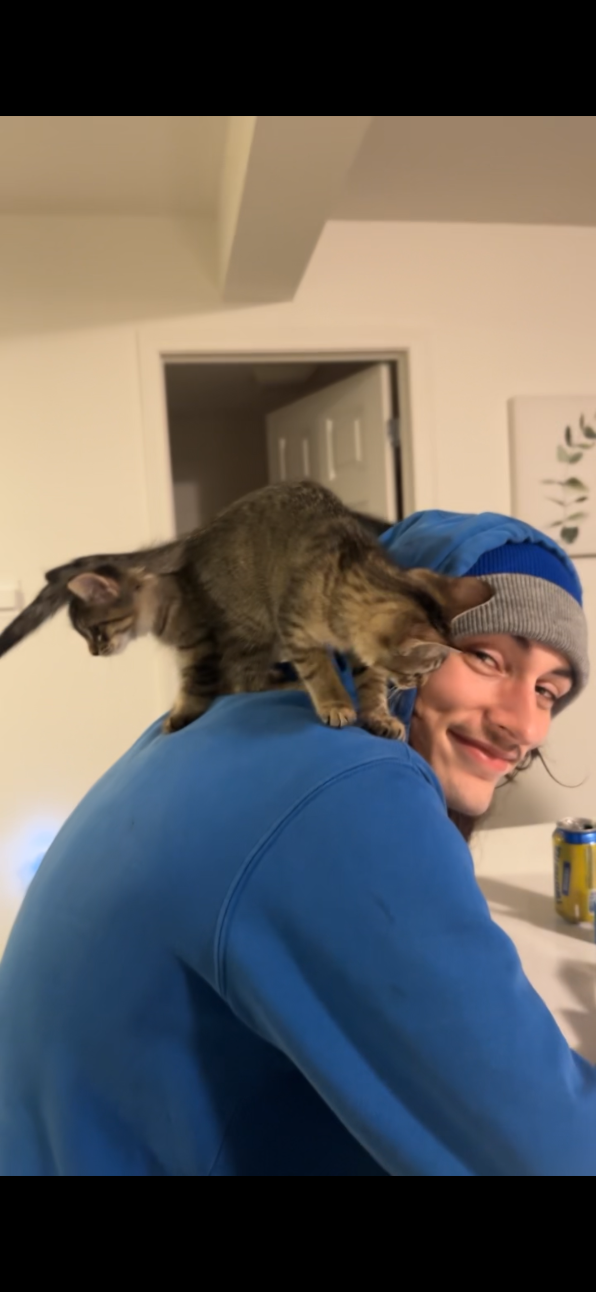 User-uploaded image 1