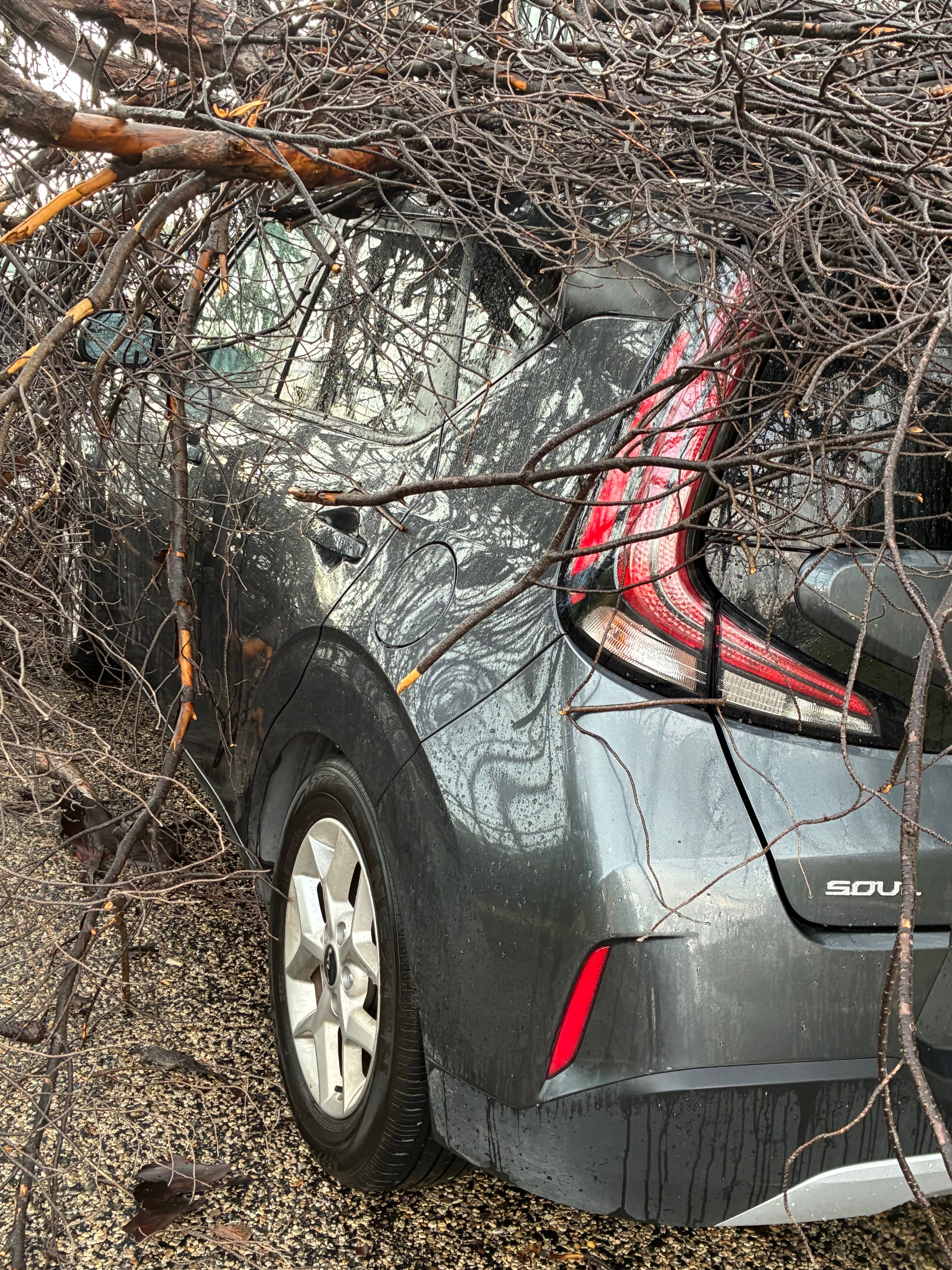 Tough breaks and rough spots campaign photo, 4 of 5