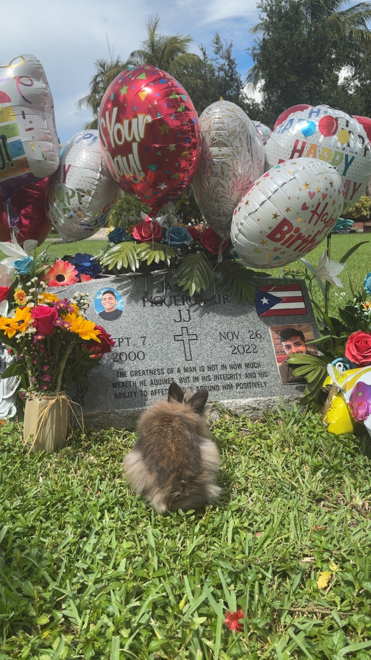 Help Jada's Bunny Get Life-Saving Surgery campaign photo, 4 of 7