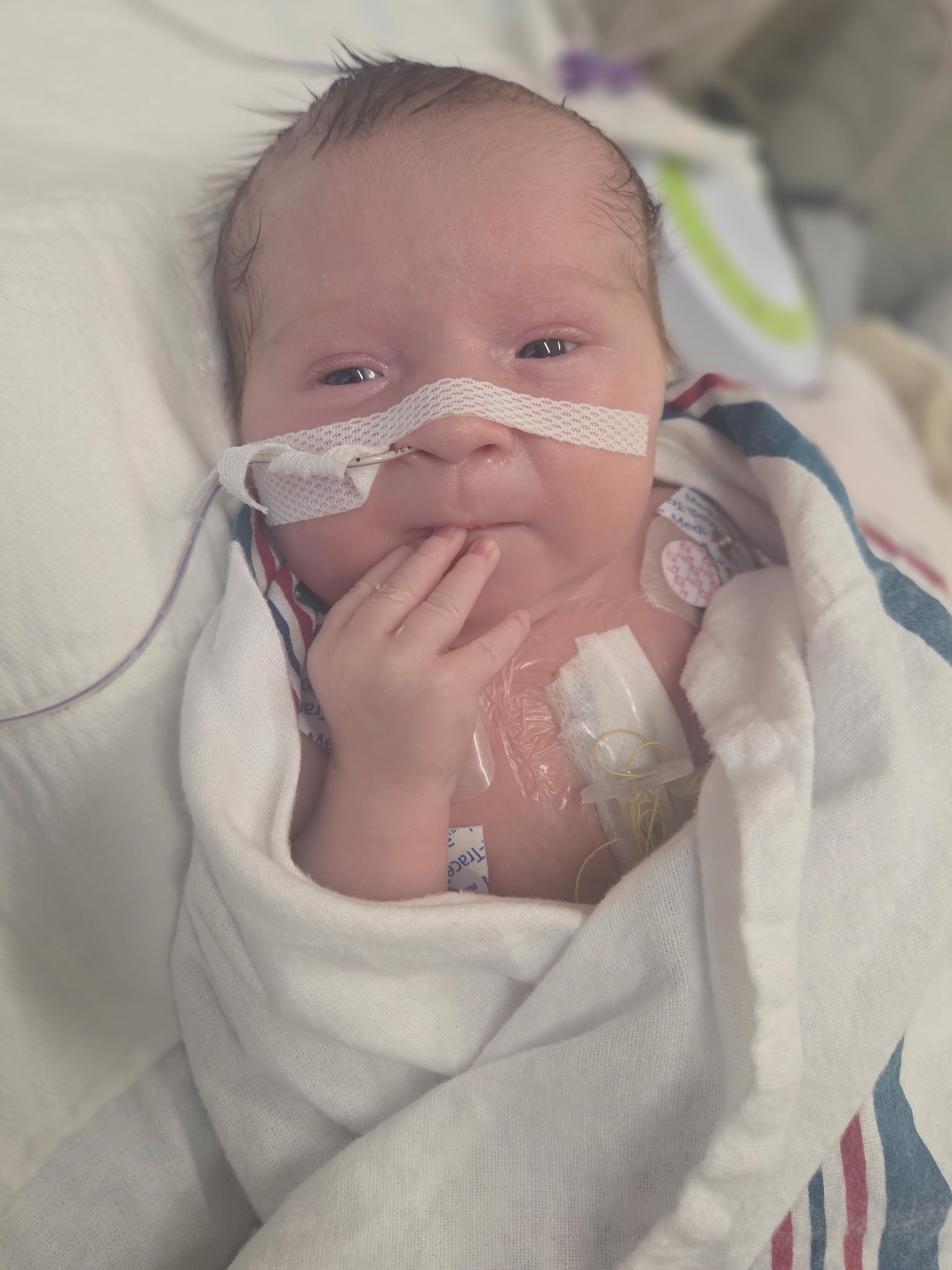 Support Hope and Healing for Baby Memphis campaign photo, 4 of 8