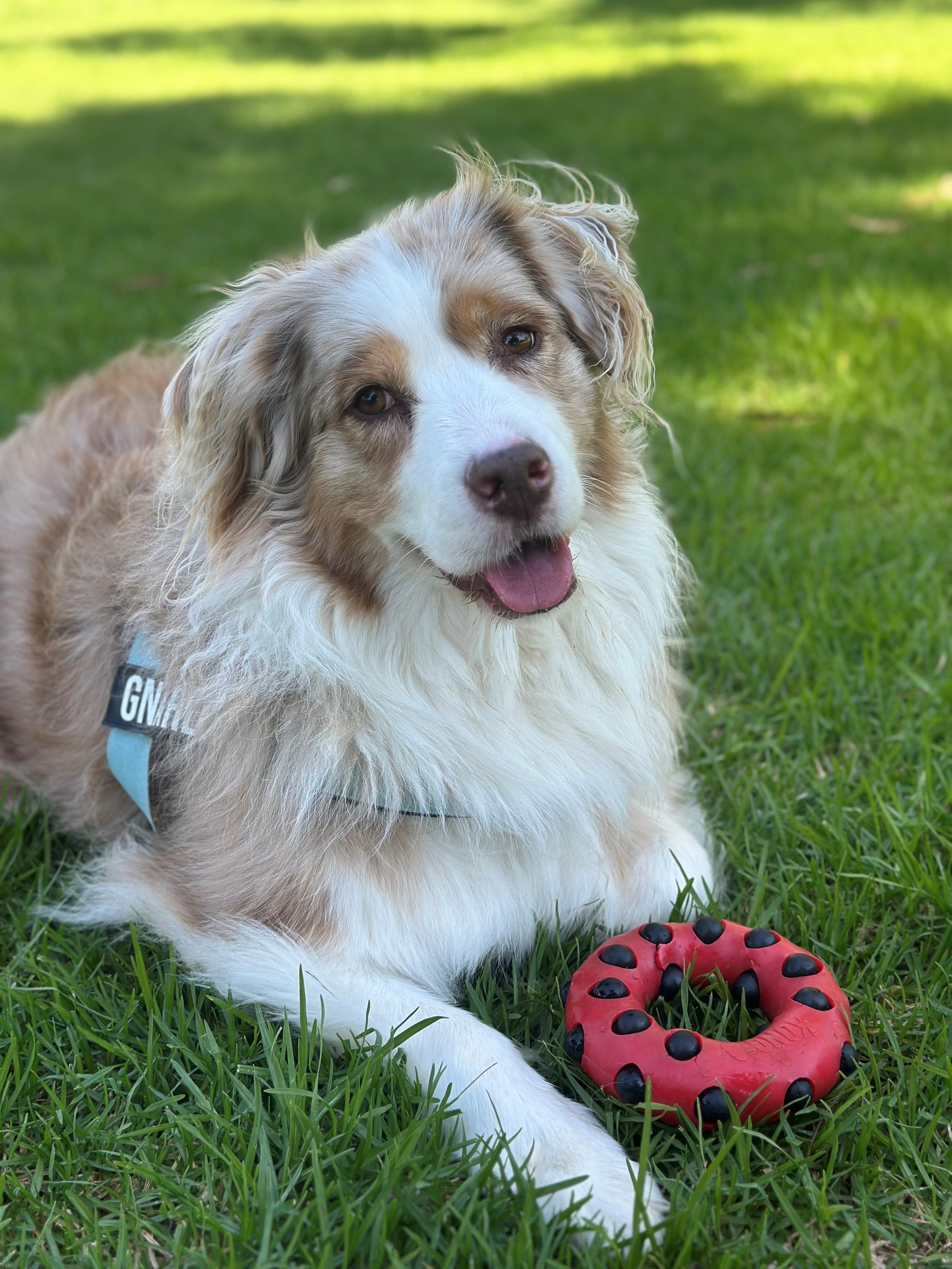 Help Gnarloo Fight Cancer! campaign photo, 2 of 8