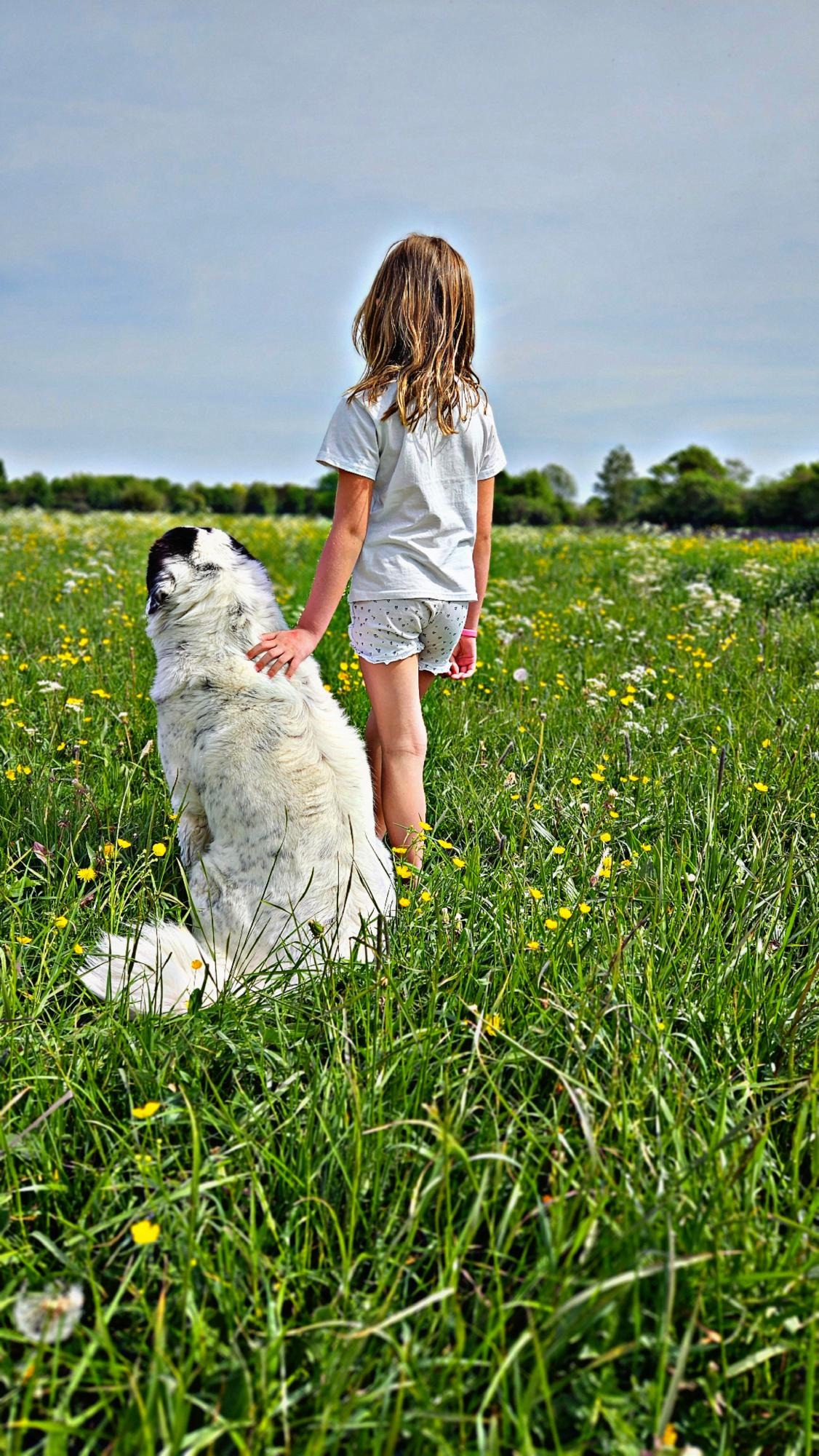 Hoffnung und Hilfe für unseren geliebten Familienhund STELLA campaign photo, 2 of 7