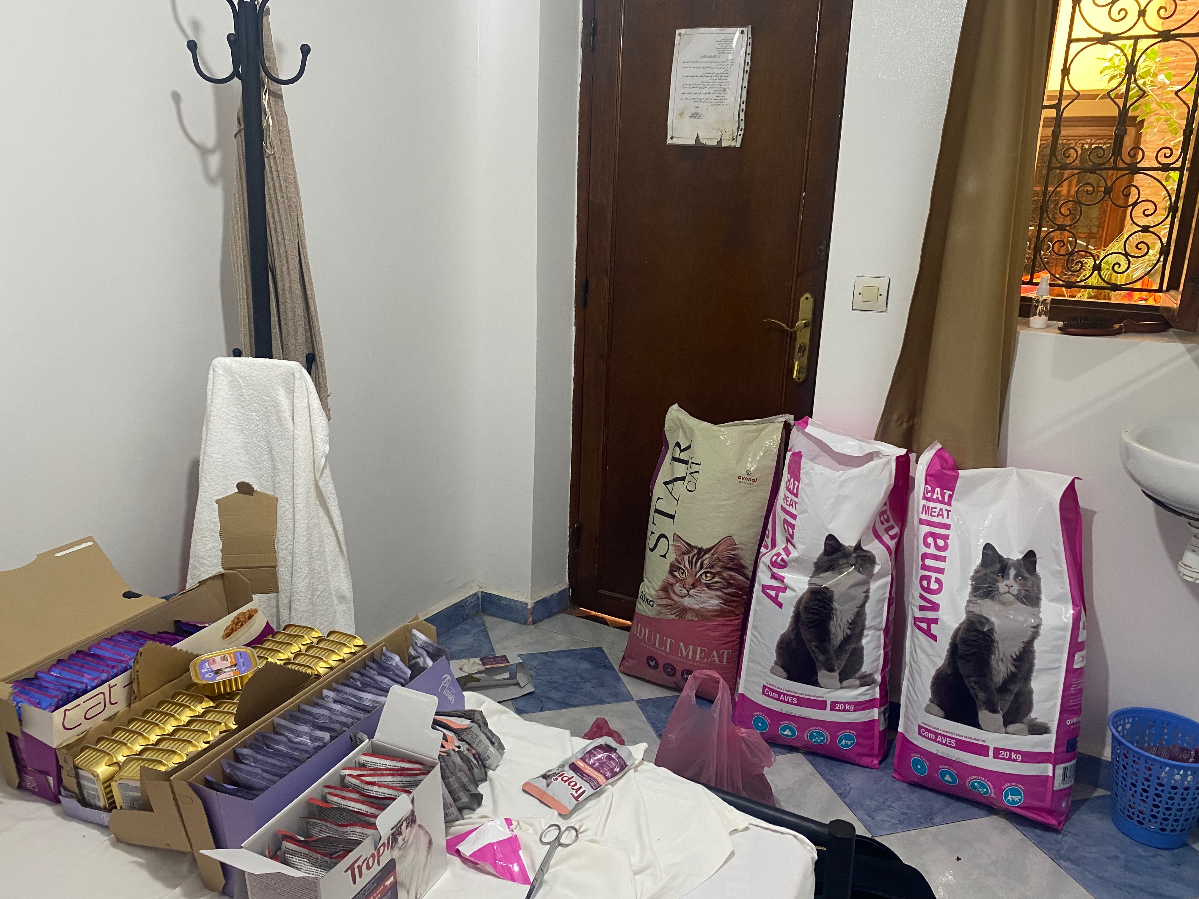 Food & urgent vet care for the street cats in Marrakesh campaign photo, 5 of 8
