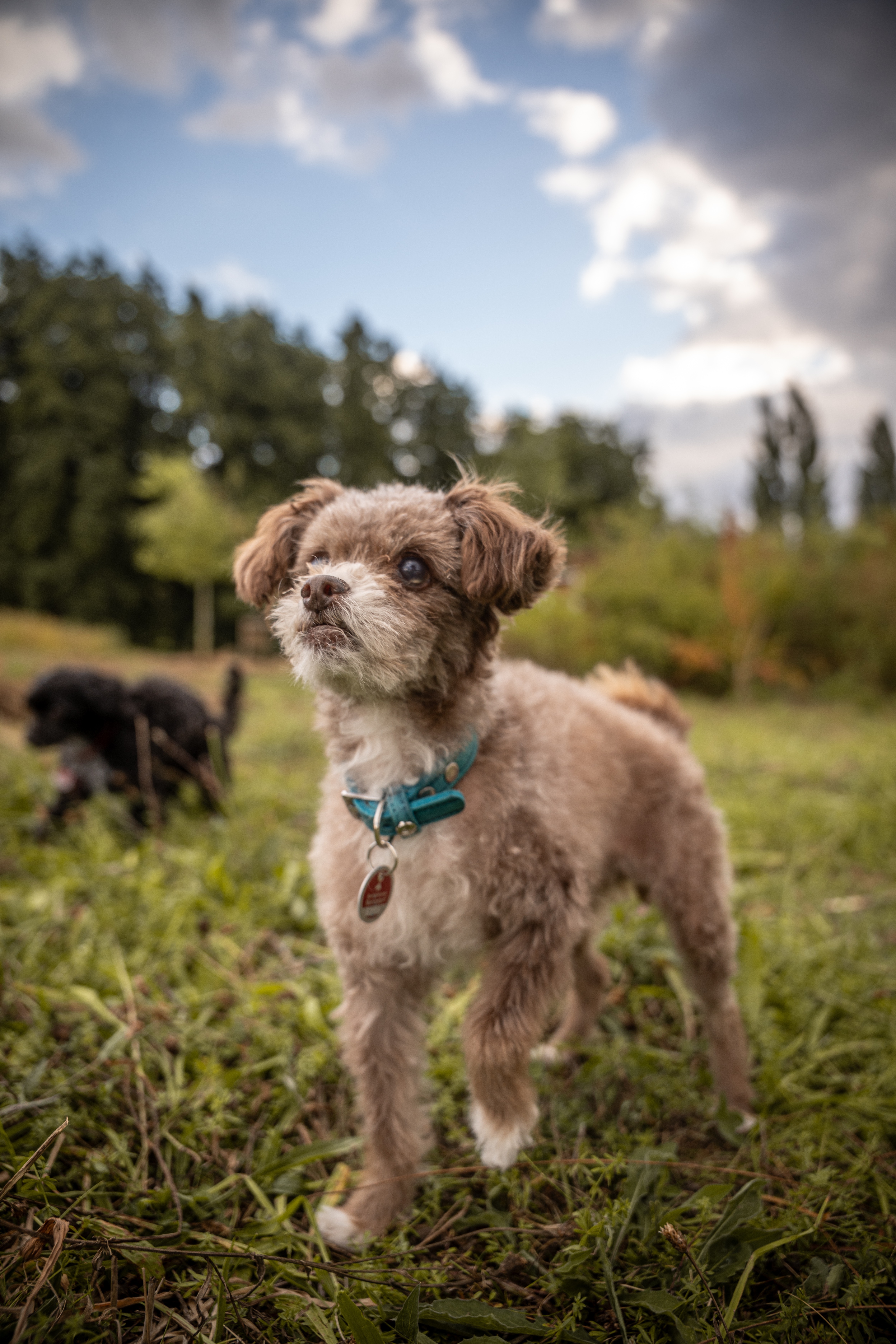 Yue´s restliches Leben! campaign photo, 2 of 6