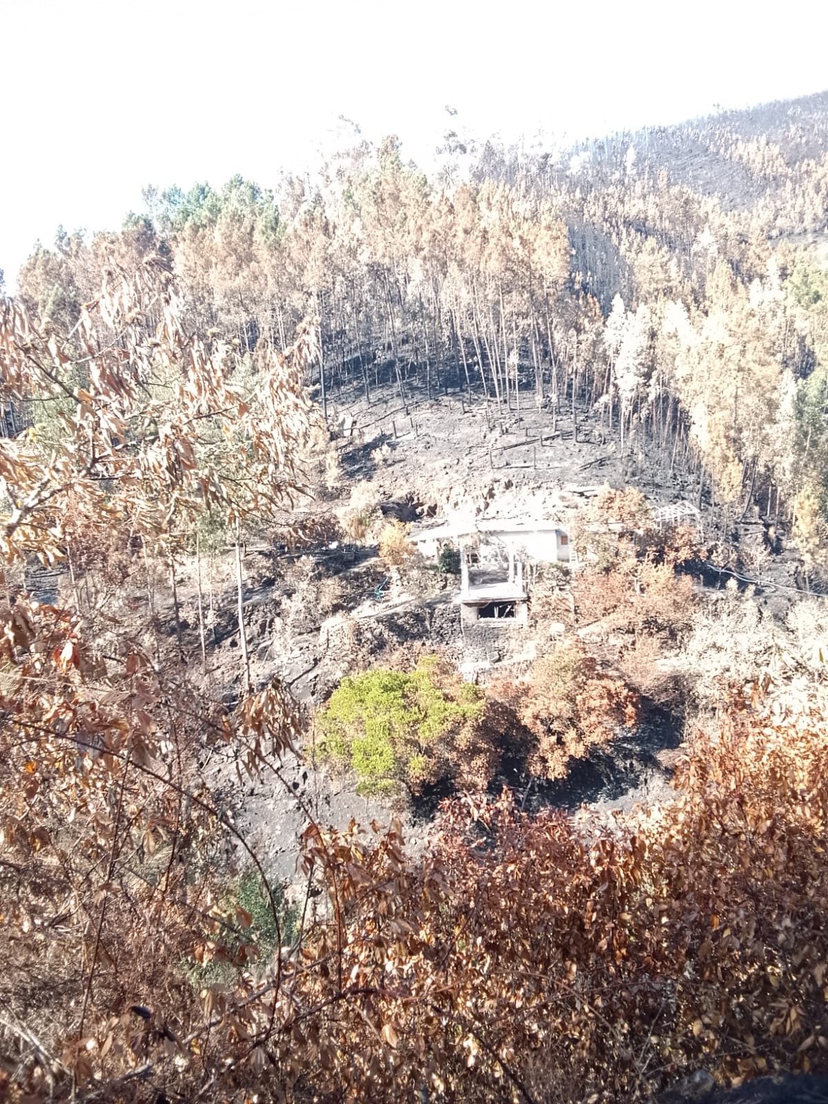 Let's help Paolo rebuild after the fire campaign photo, 7 of 8