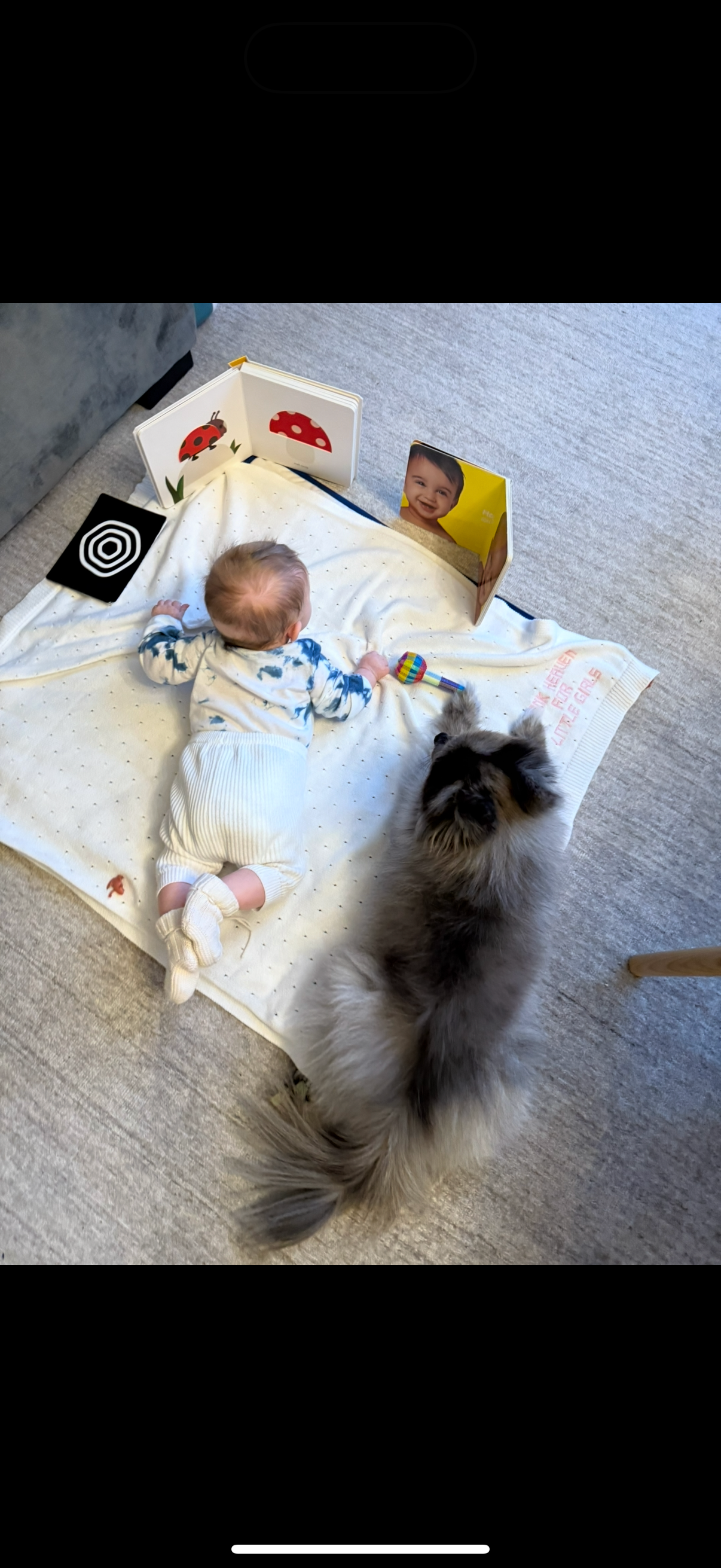 Help save Albie ❤️ campaign photo, 5 of 8