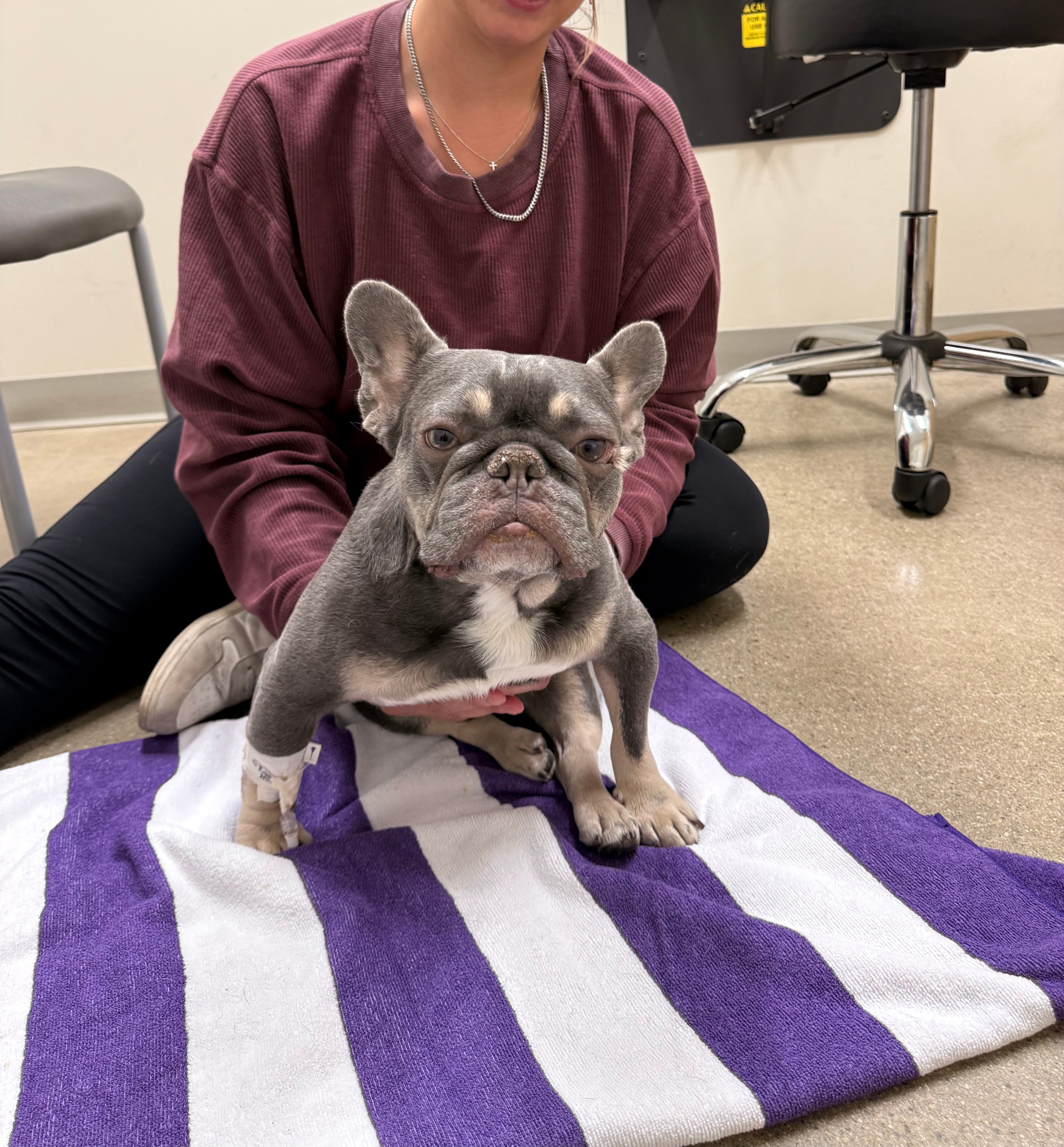 Duke's journey to walking again! campaign photo, 2 of 8