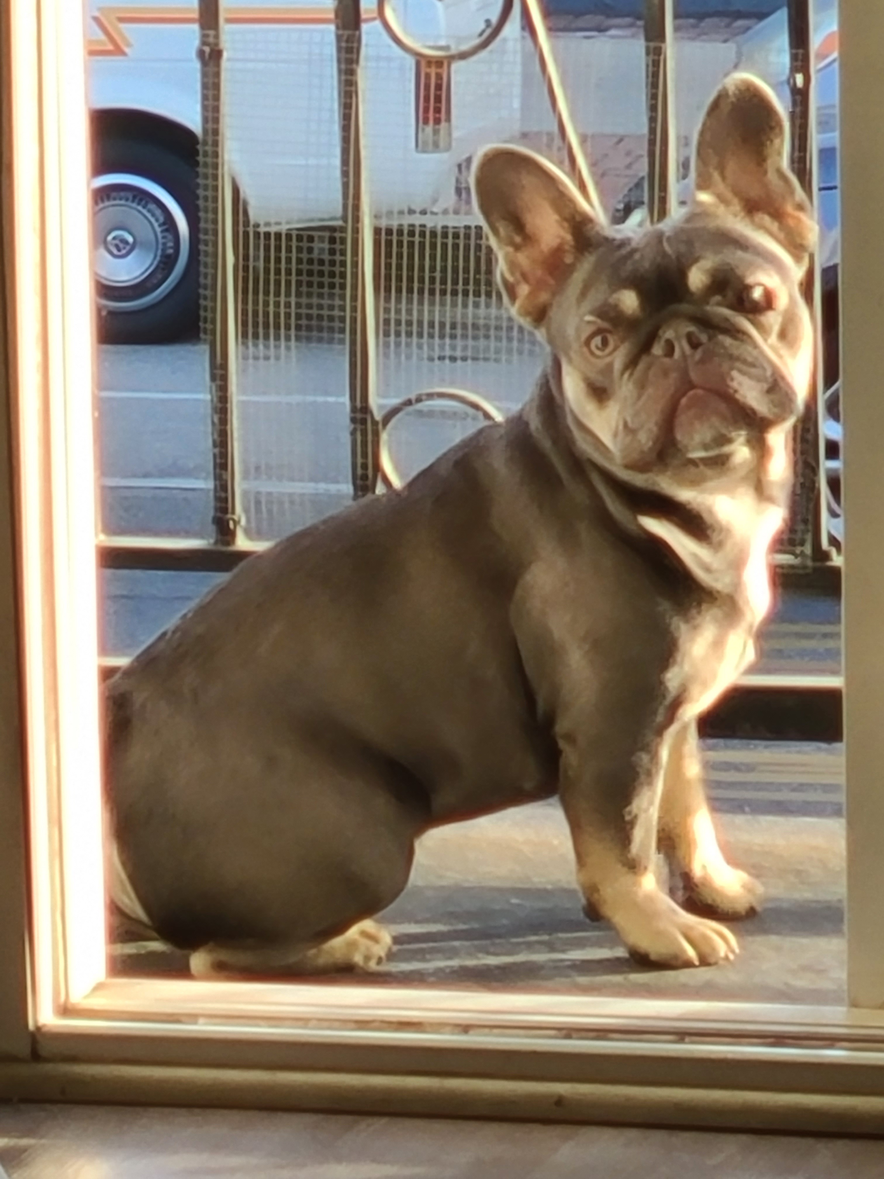 Duke's journey to walking again! campaign photo, 4 of 8