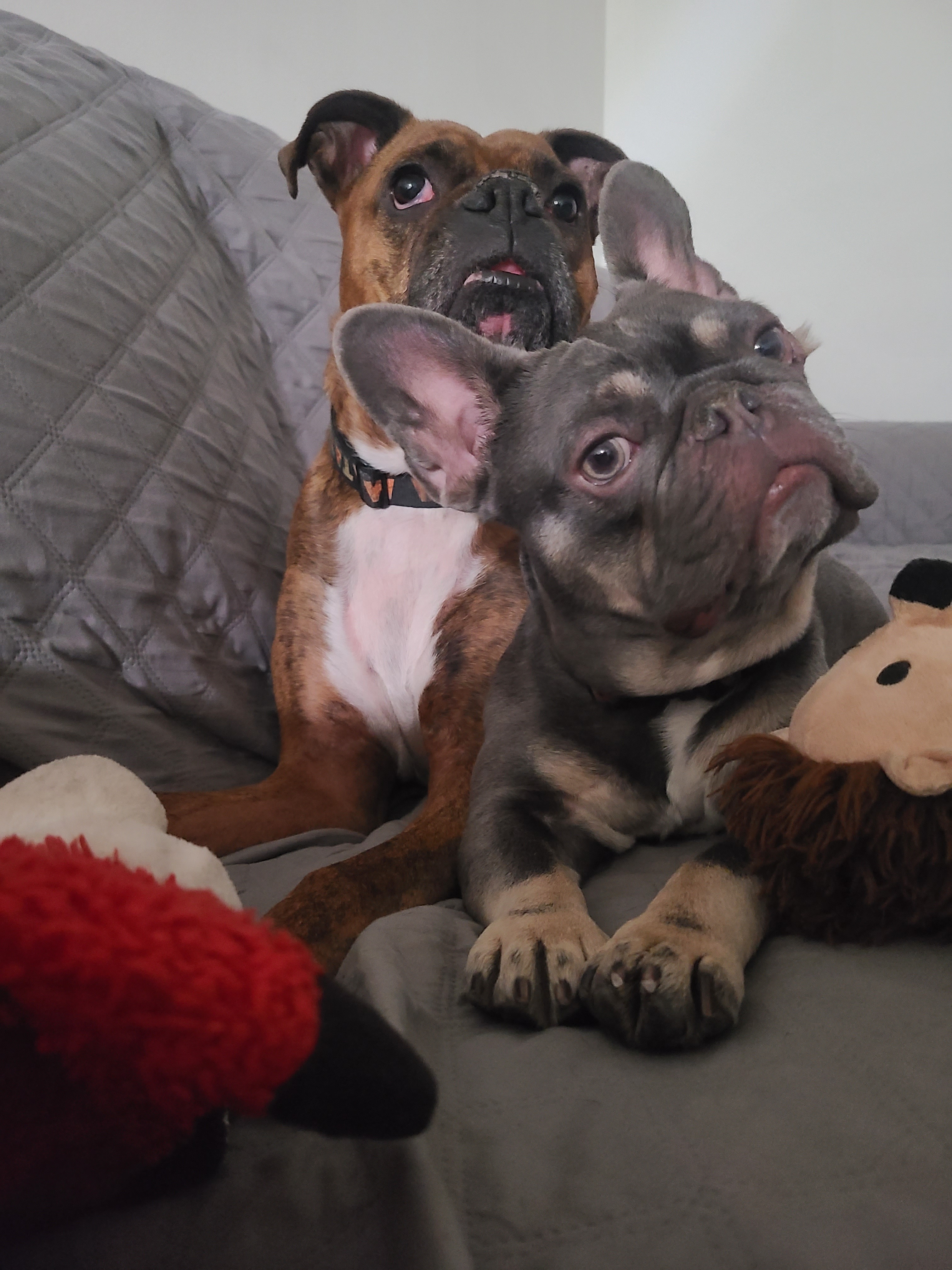 Duke's journey to walking again! campaign photo, 6 of 8
