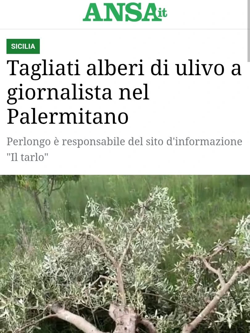Foto della campagna Gli ulivi colpiti dalla mafia per punire una voce libera, 4 di 8