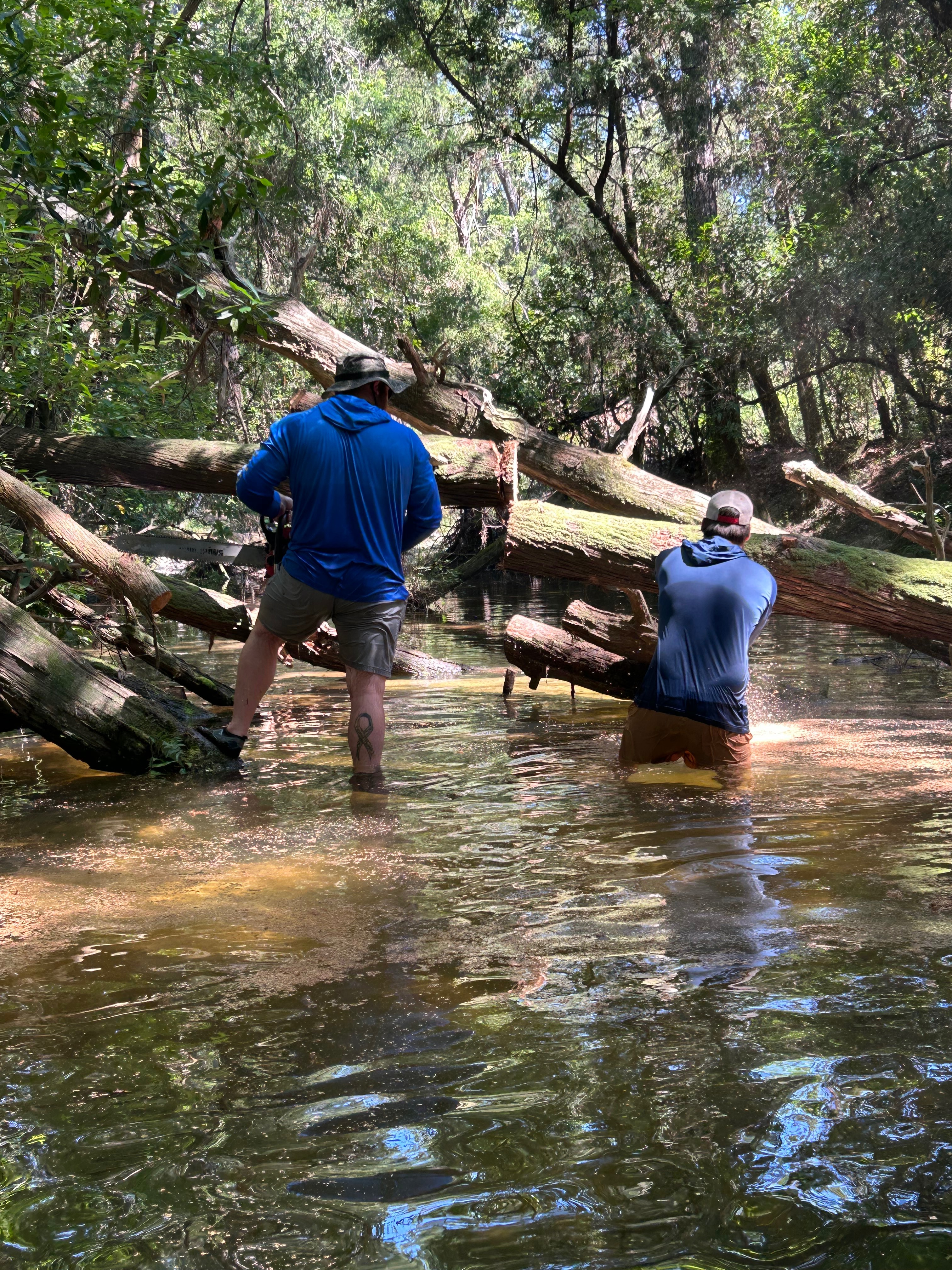 Support Idiots With Chainsaws: Keep Fish River Clear campaign photo, 5 of 7