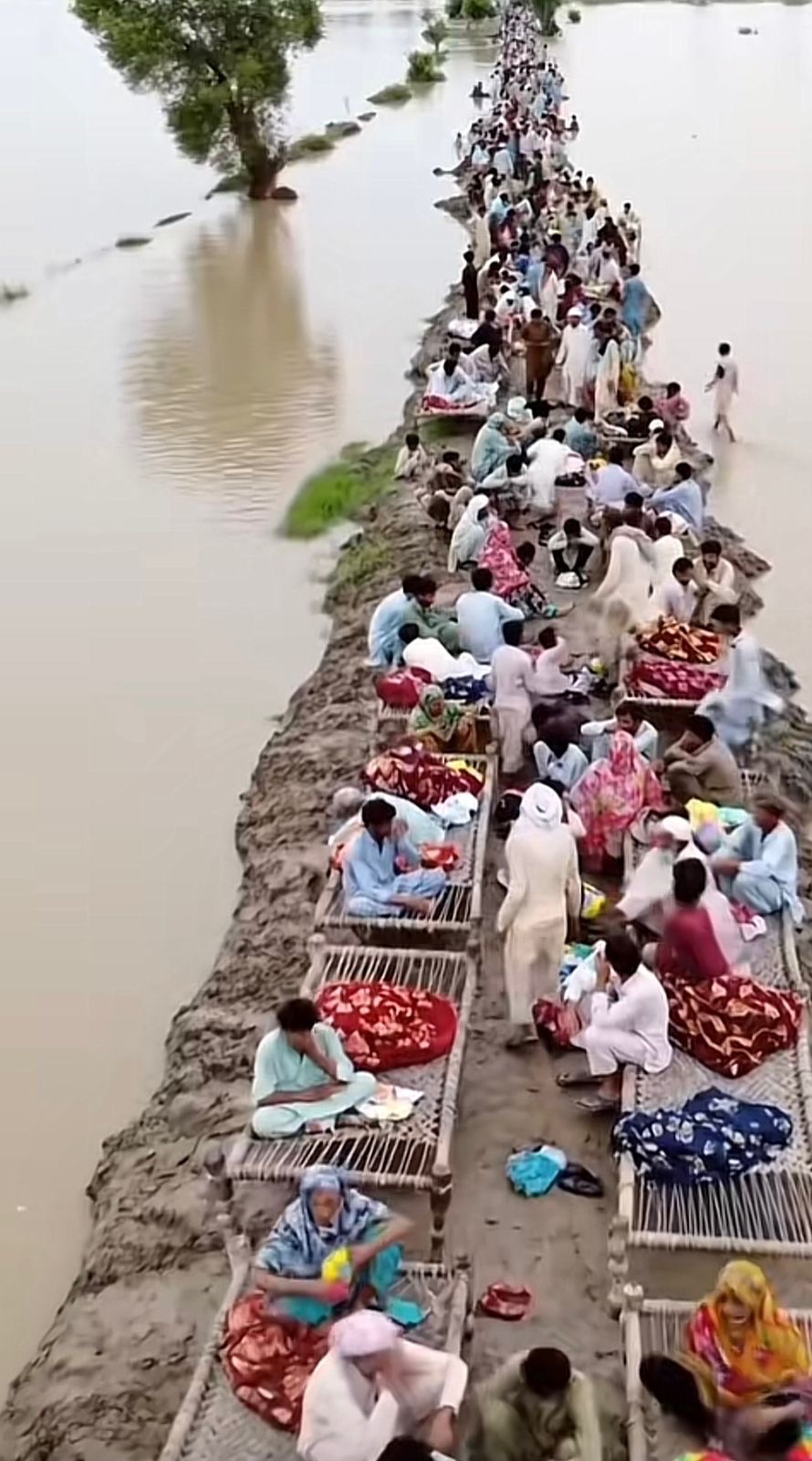 Pakistan Flood Relief ,Homes Destroyed, Help Them campaign photo, 4 of 8