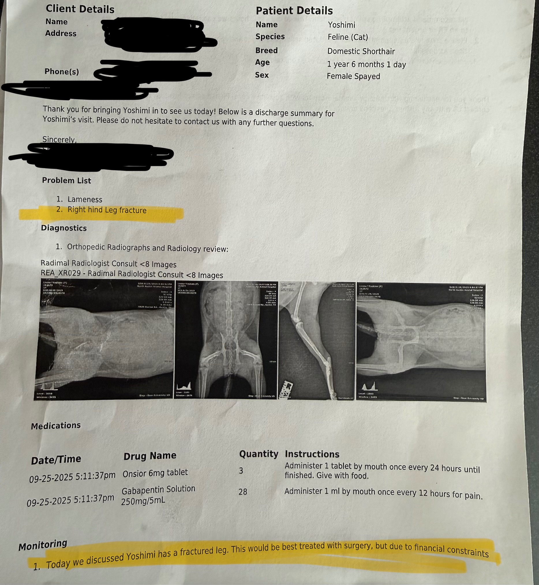 help Yoshimi get surgery so she can keep her leg! campaign photo, 6 of 7