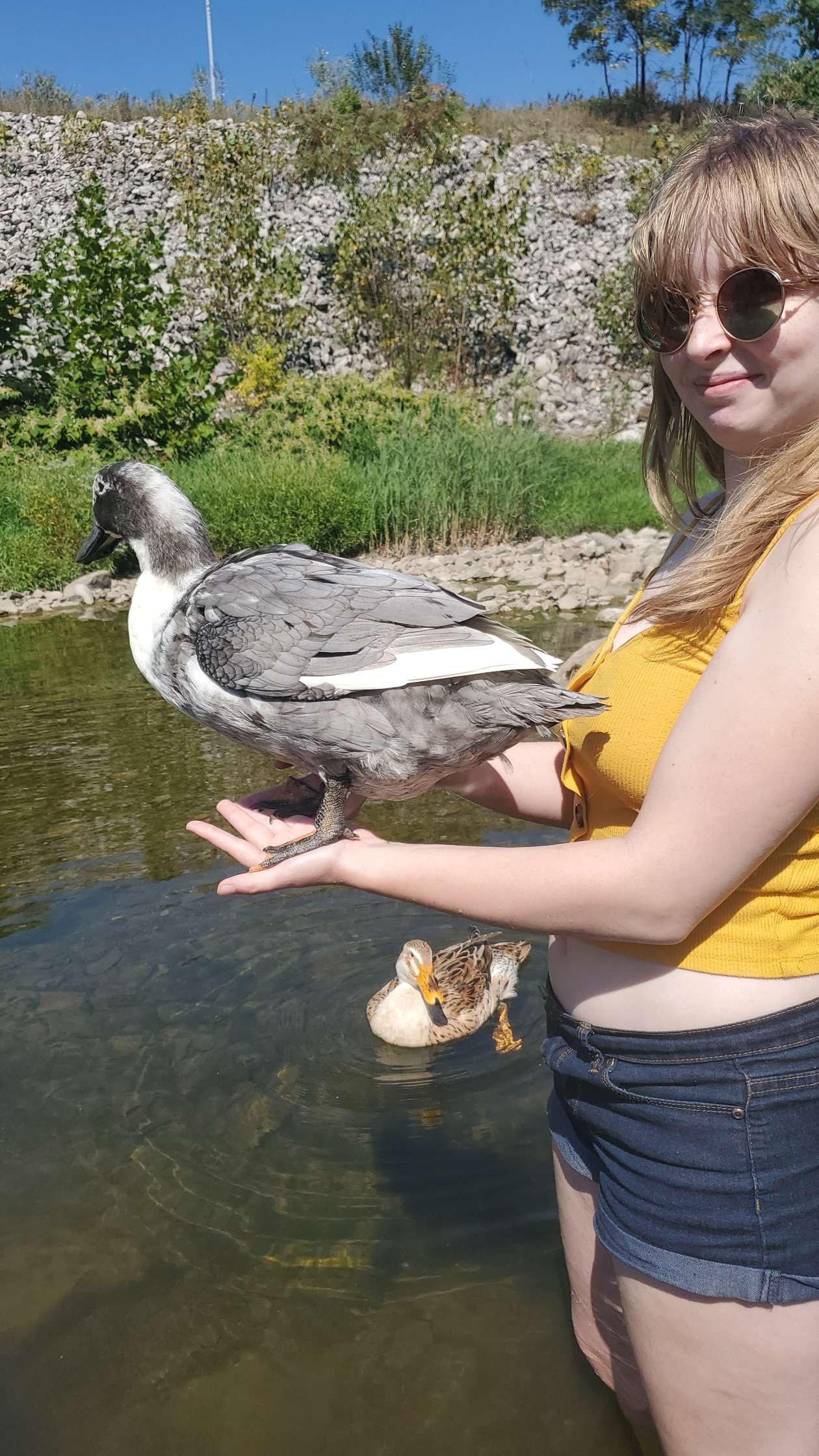 Fundraiser by Rebecca Oliphant : Support Captain Quackers' Urgent Surgery