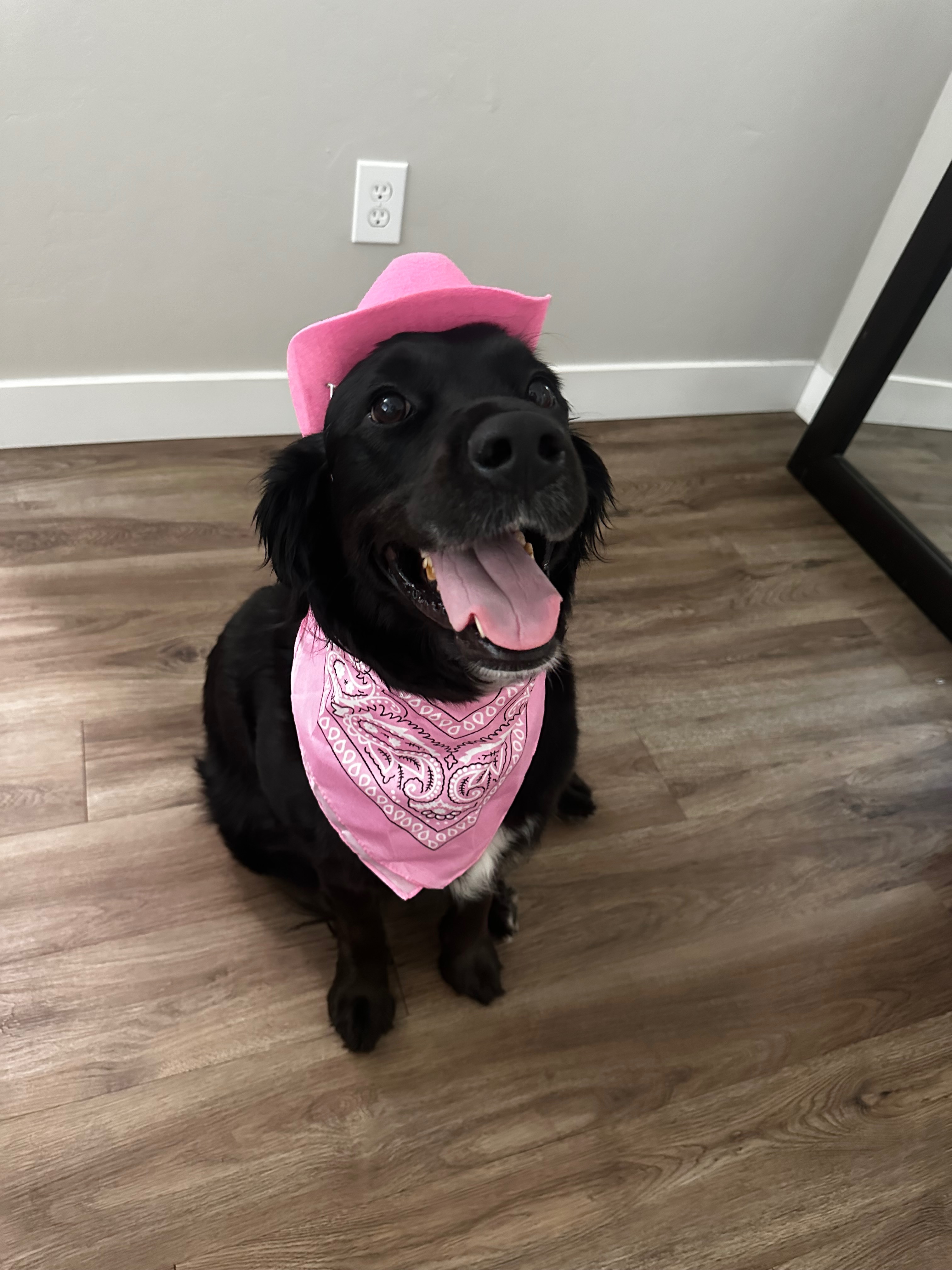 Help Mila Heal Her ACL campaign photo, 7 of 8
