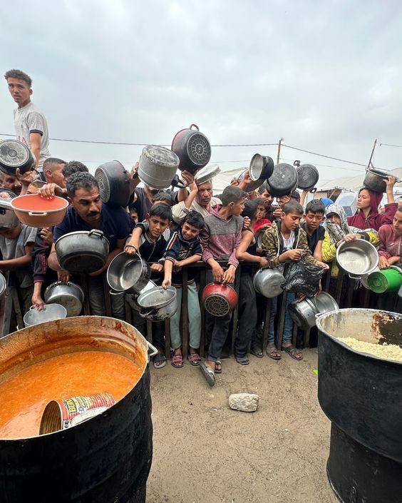 User-uploaded image 1