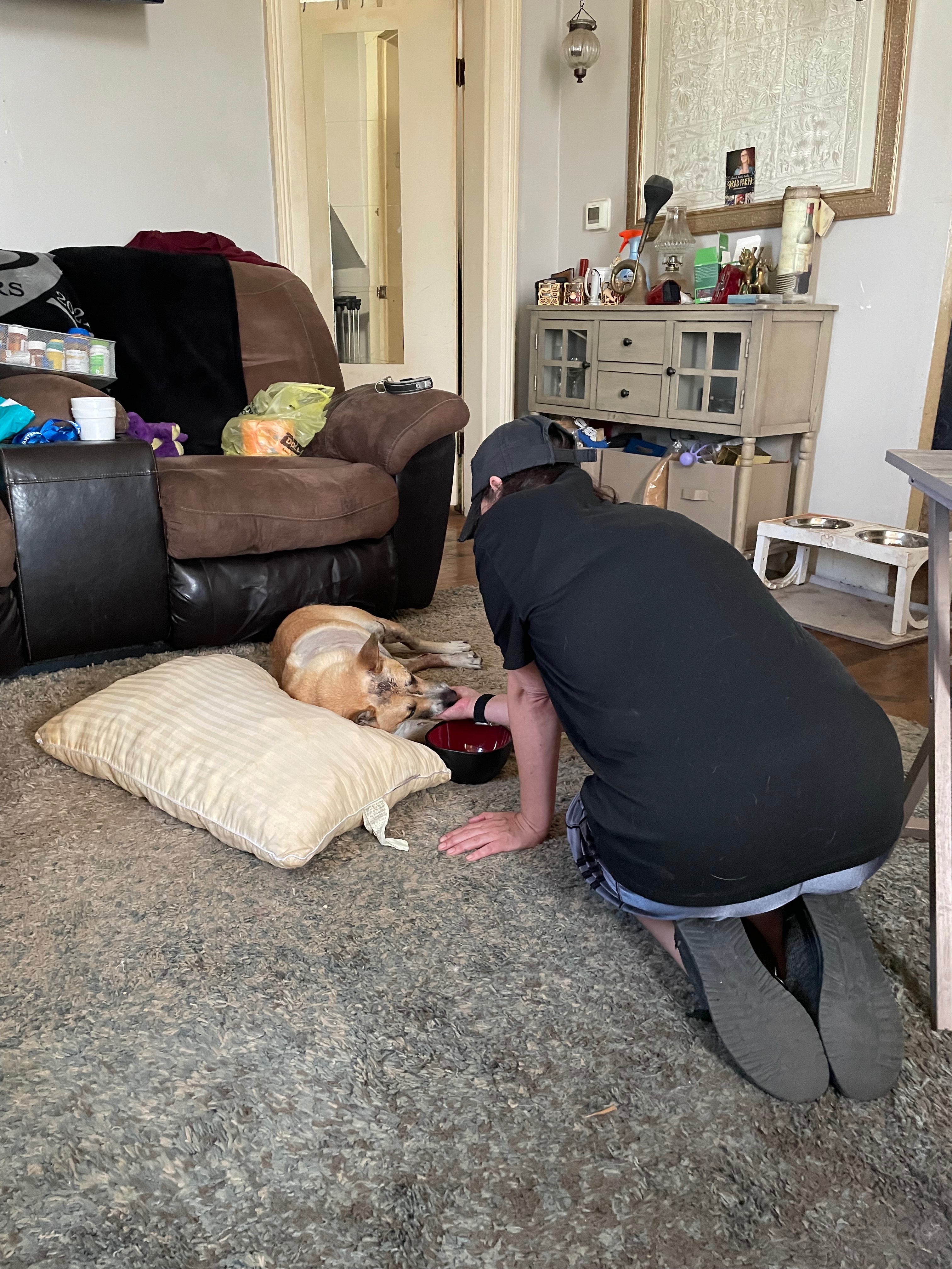 Max still needs help. campaign photo, 4 of 8