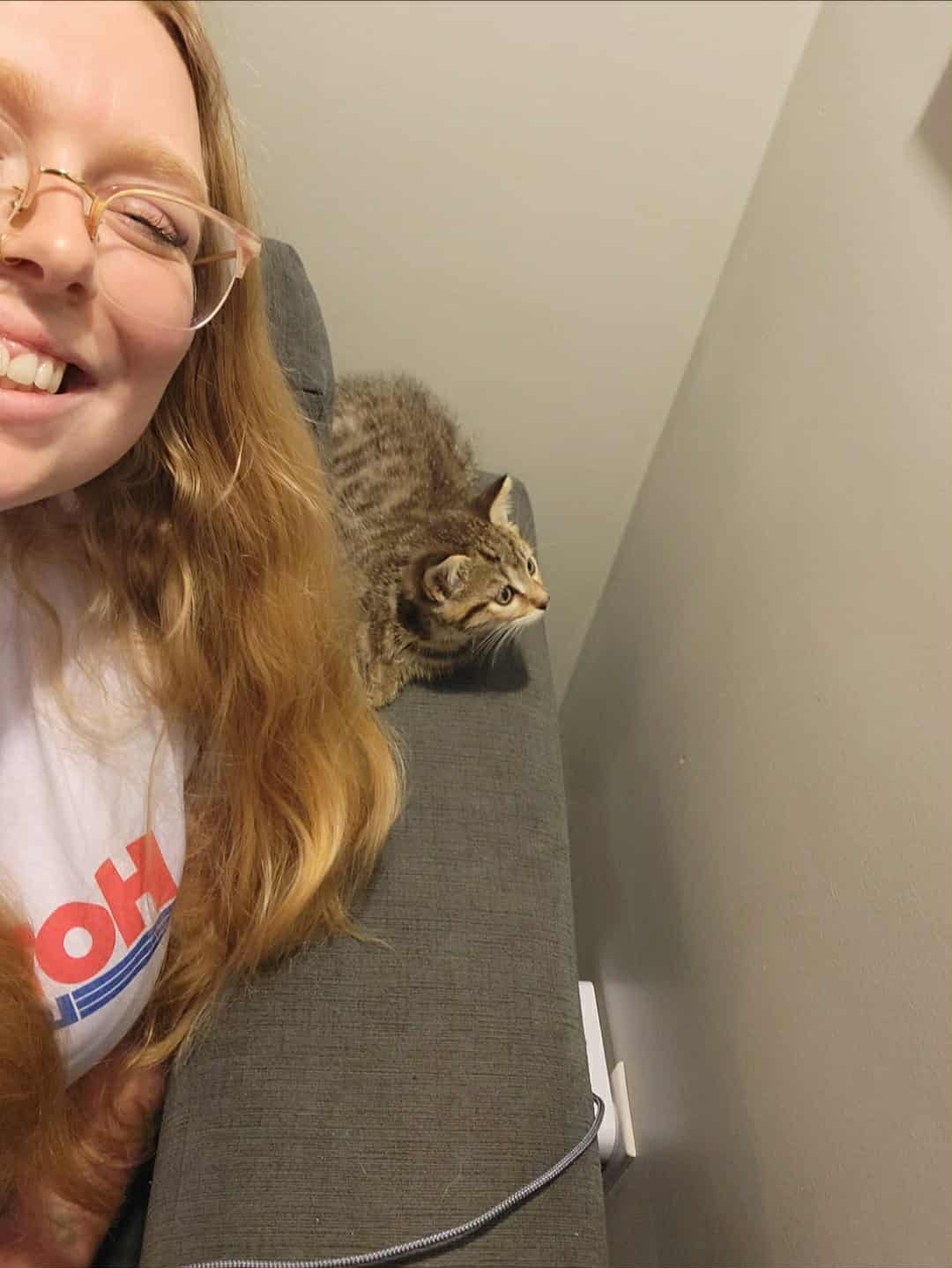 Help Gus the Kitten Get Feline Leukemia and FIV Testing campaign photo, 7 of 8