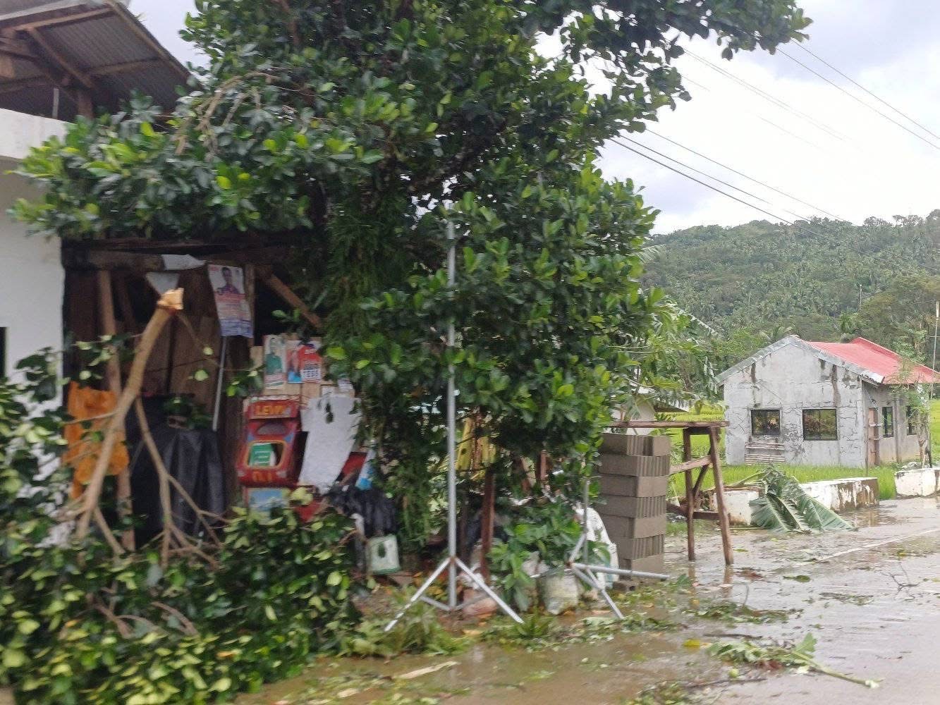 Help Sibuyan, Romblon Rise After Typhoon Opong’s Destruction campaign photo, 2 of 8