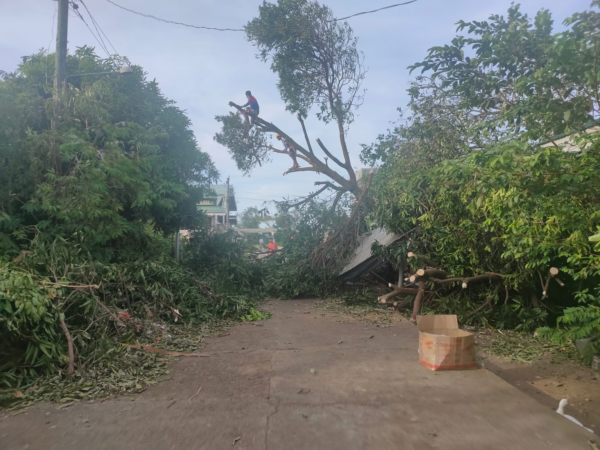 Help Sibuyan, Romblon Rise After Typhoon Opong’s Destruction campaign photo, 5 of 8