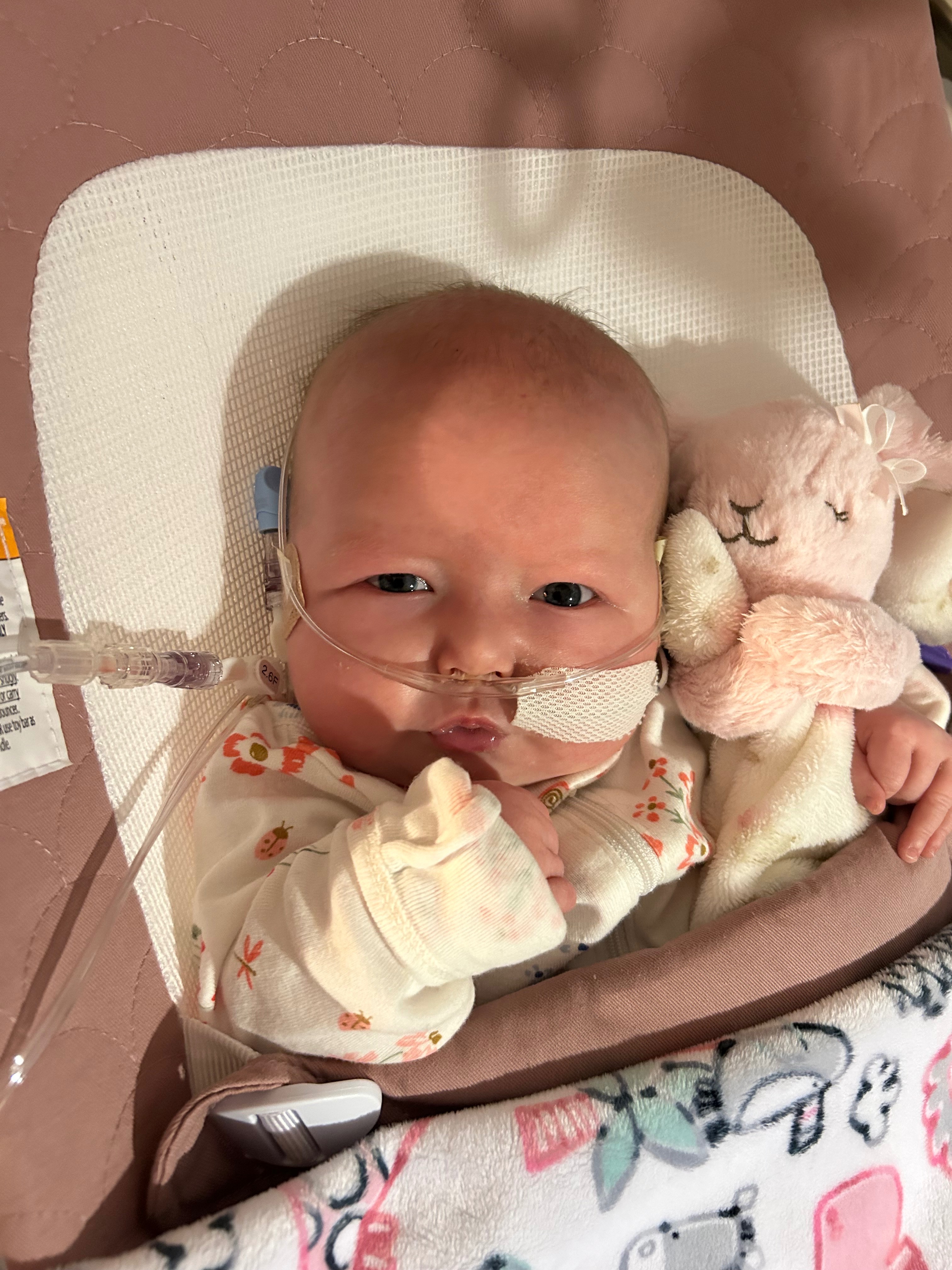 Freya's Heart Journey campaign photo, 6 of 7
