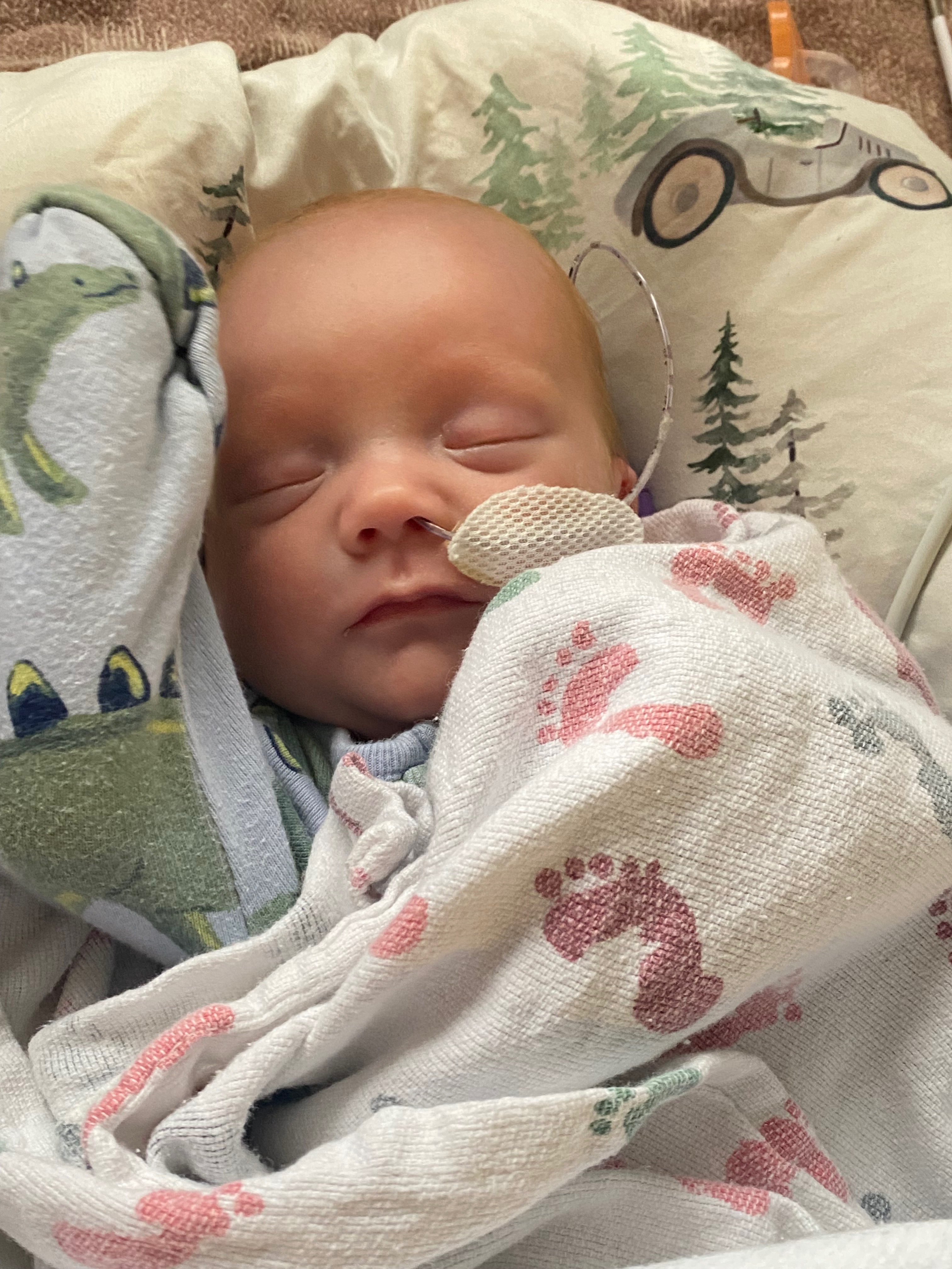 Little miracle boy heads to Leavenworth campaign photo, 4 of 8