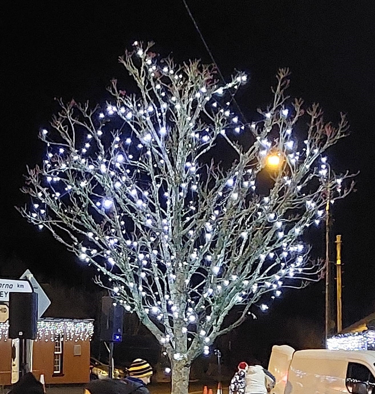 Carrigadrohid Christmas Lights campaign photo, 7 of 8