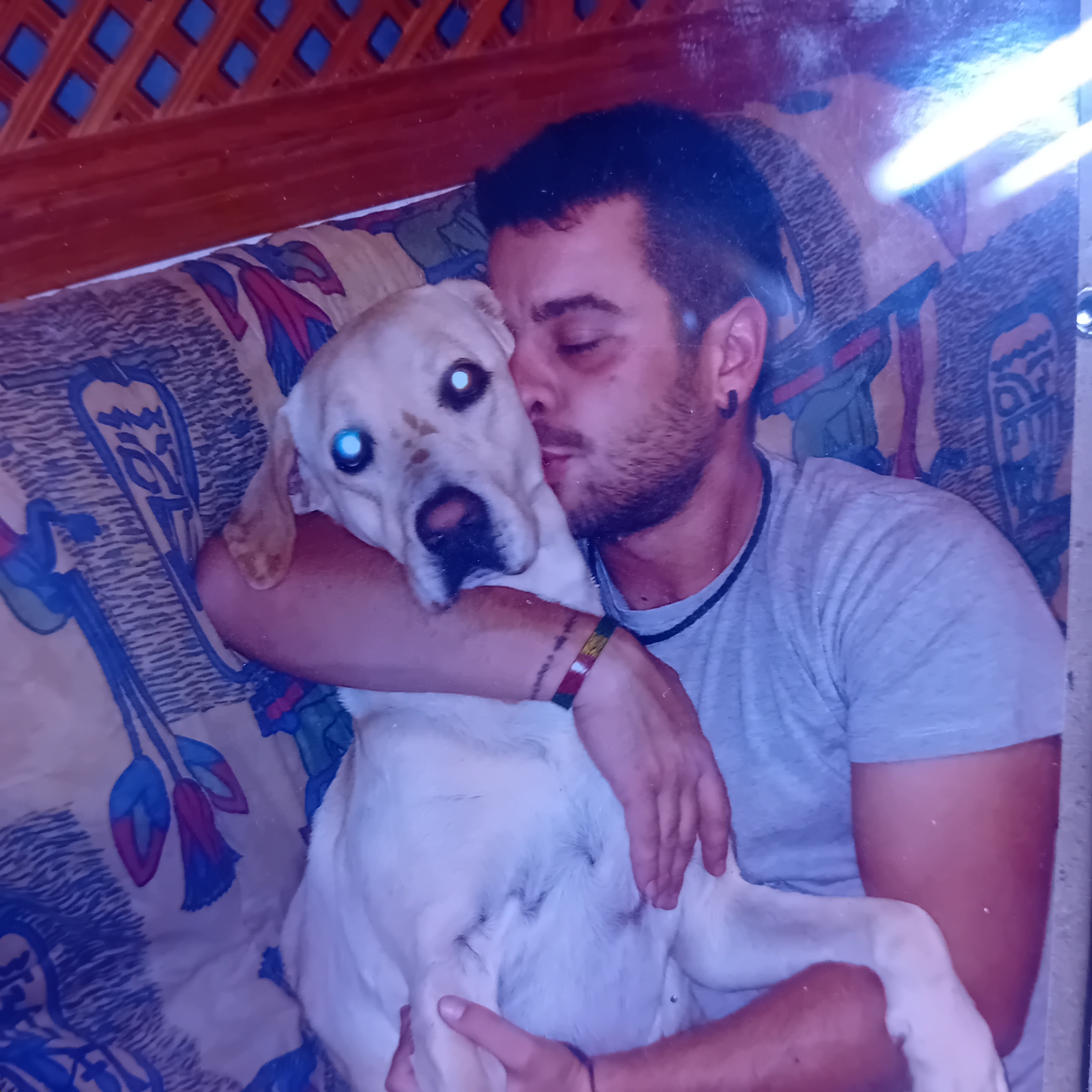 User-uploaded image 1