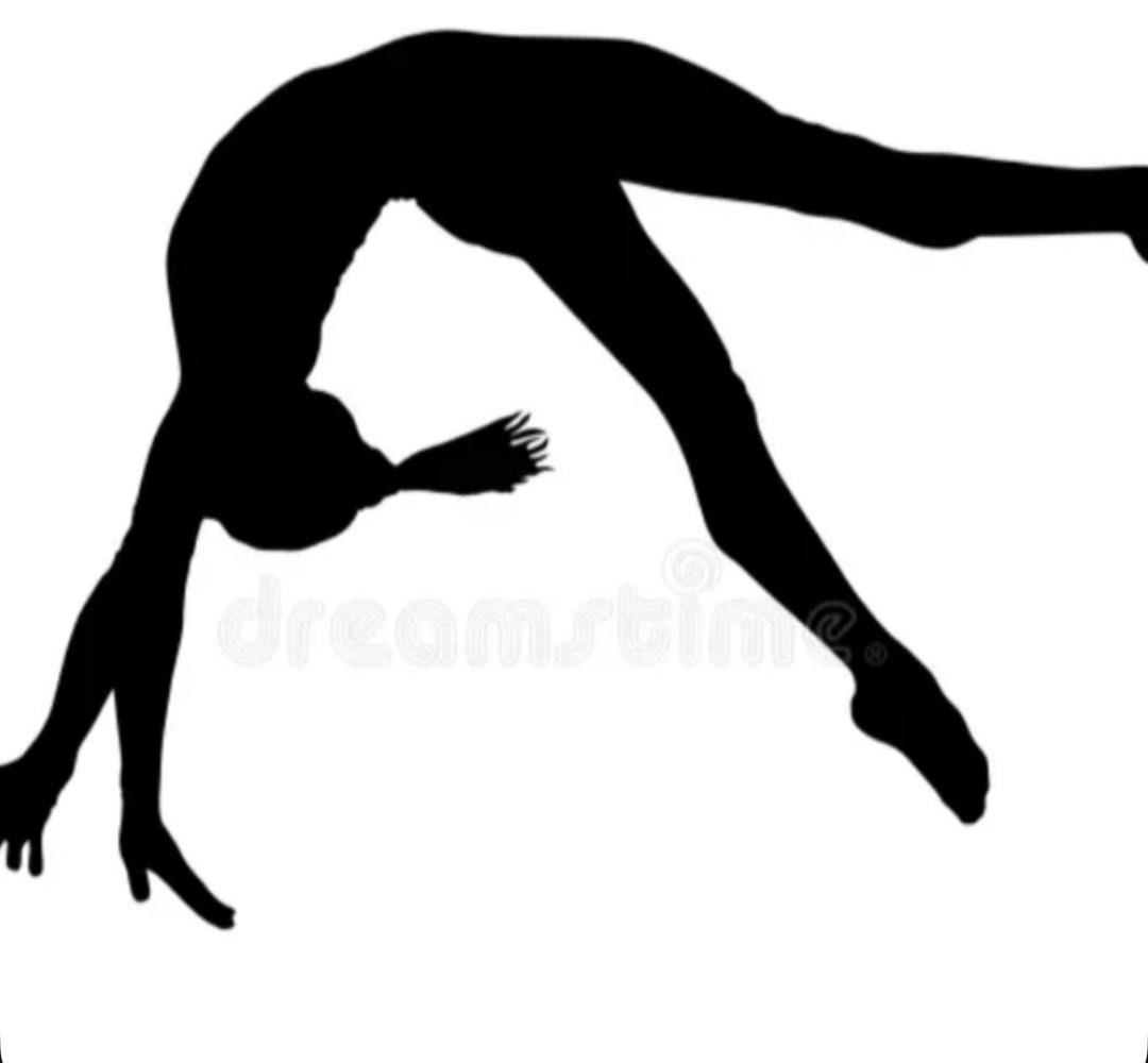 Sky High Gymnastics Tumble Squad campaign photo, 2 of 4