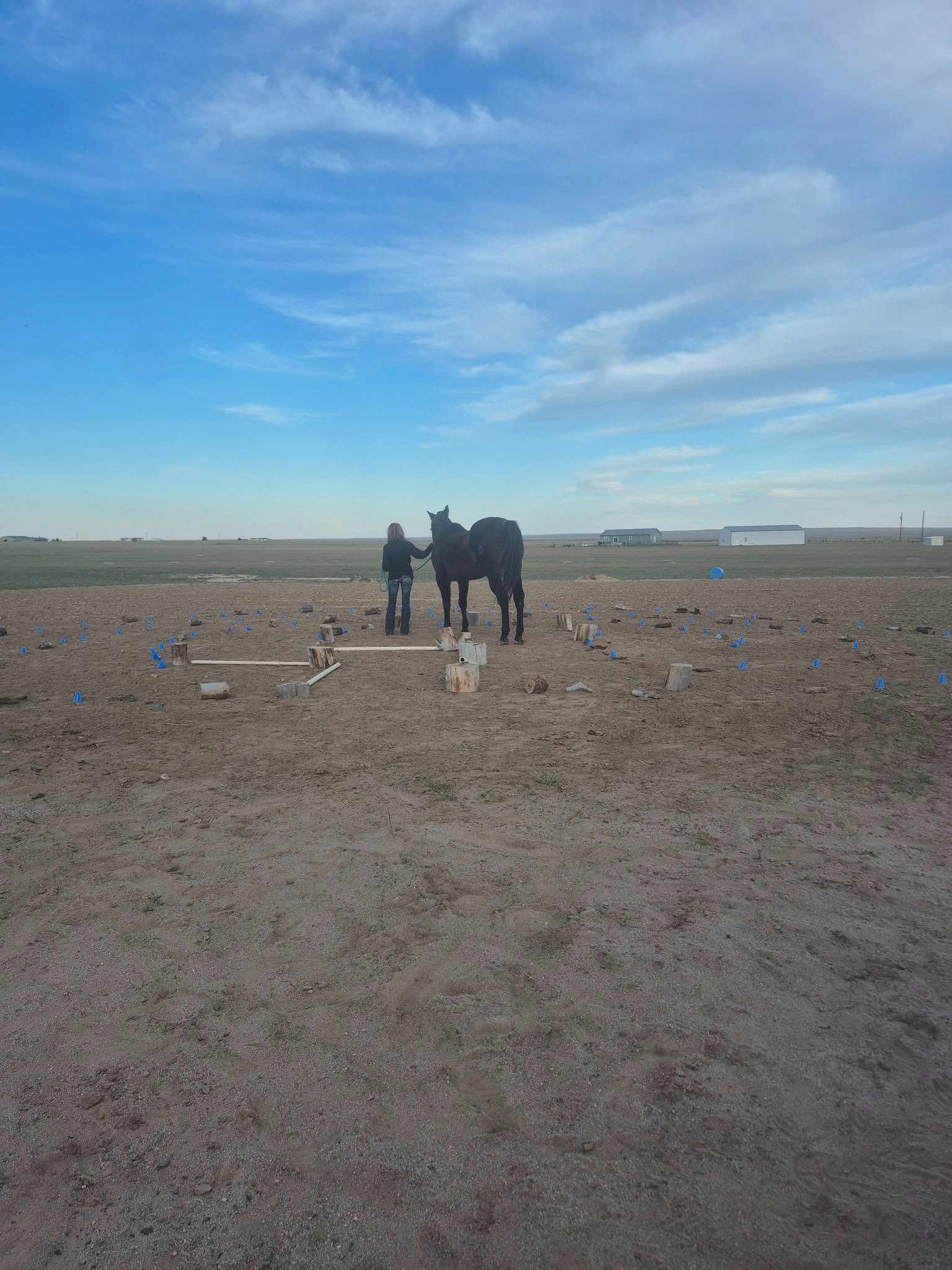 Be Their Hero—Help Save Our Equine Sanctuary campaign photo, 4 of 5