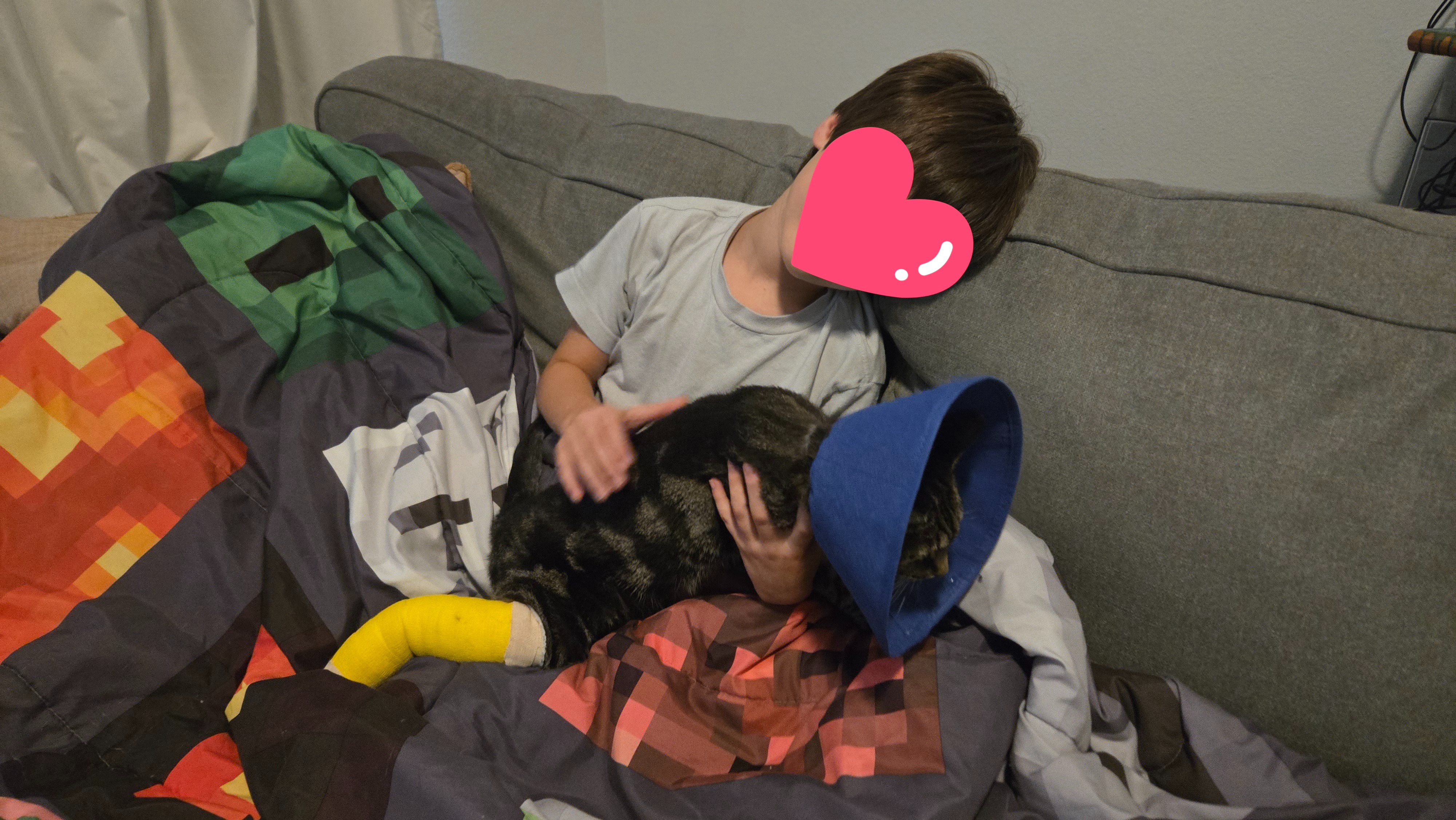 Please help with our sweet kitty MiLee's amputation... campaign photo, 2 of 5