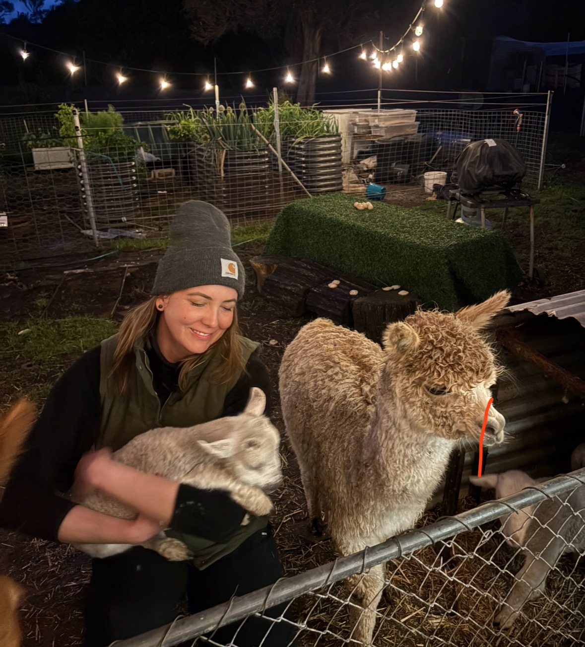Help Emelie Feed her Orphaned Animals campaign photo, 2 of 6