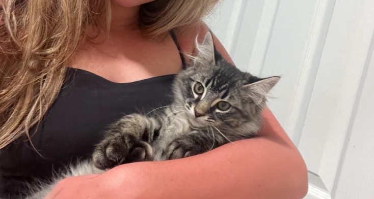 Help Theo Beat FIP—Donate Now campaign photo, 6 of 7