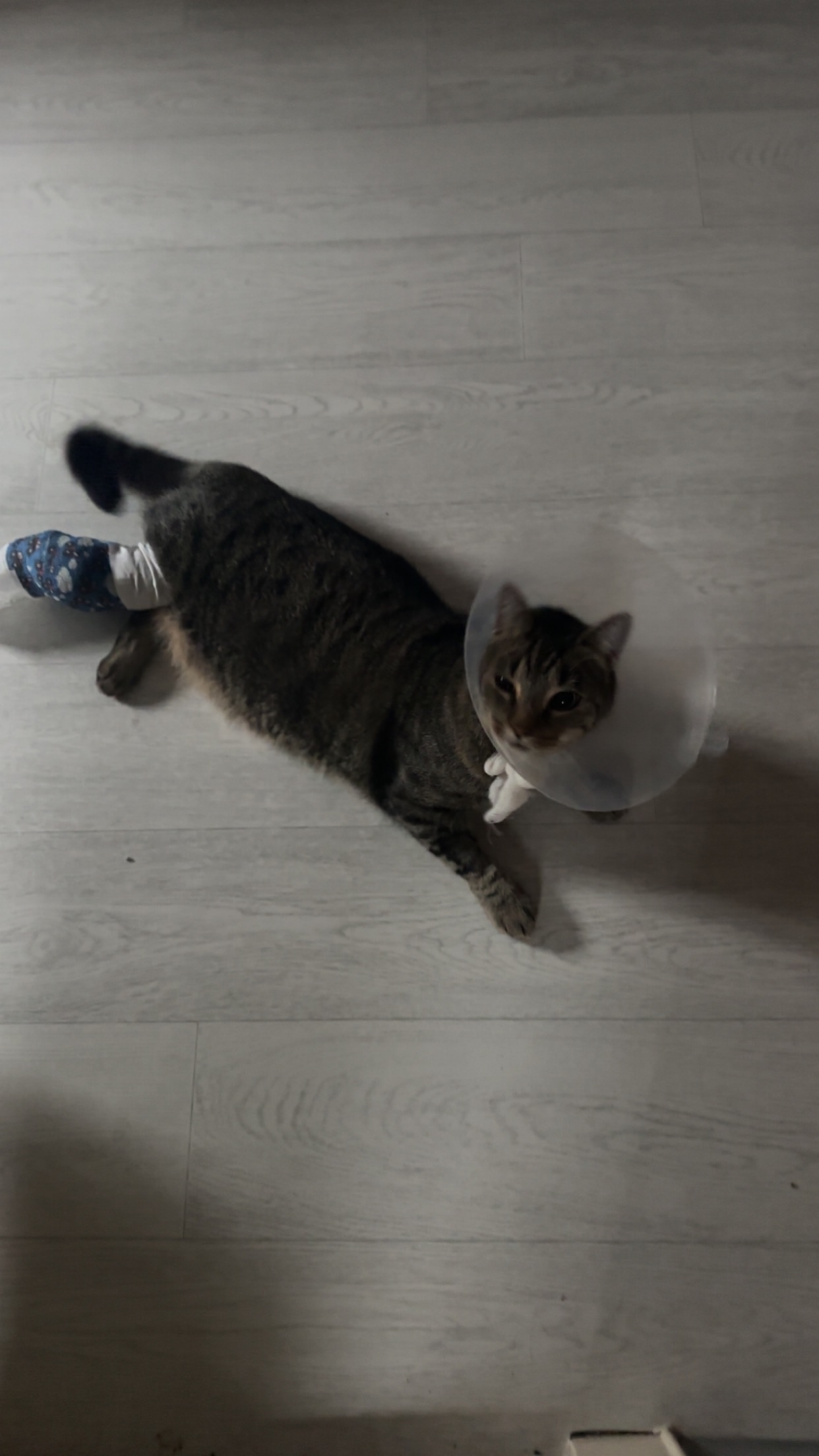 Spenden für ein kleines Kämpferherz: Hilft Snickers campaign photo, 4 of 6