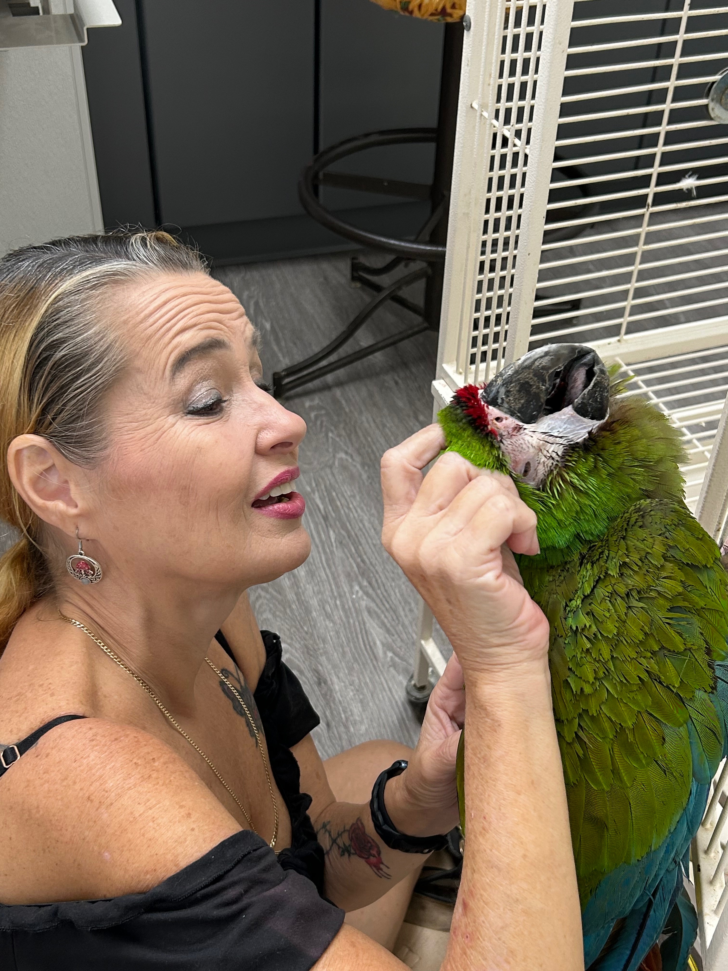 Give Rosie a Chance to Heal and Thrive campaign photo, 4 of 8
