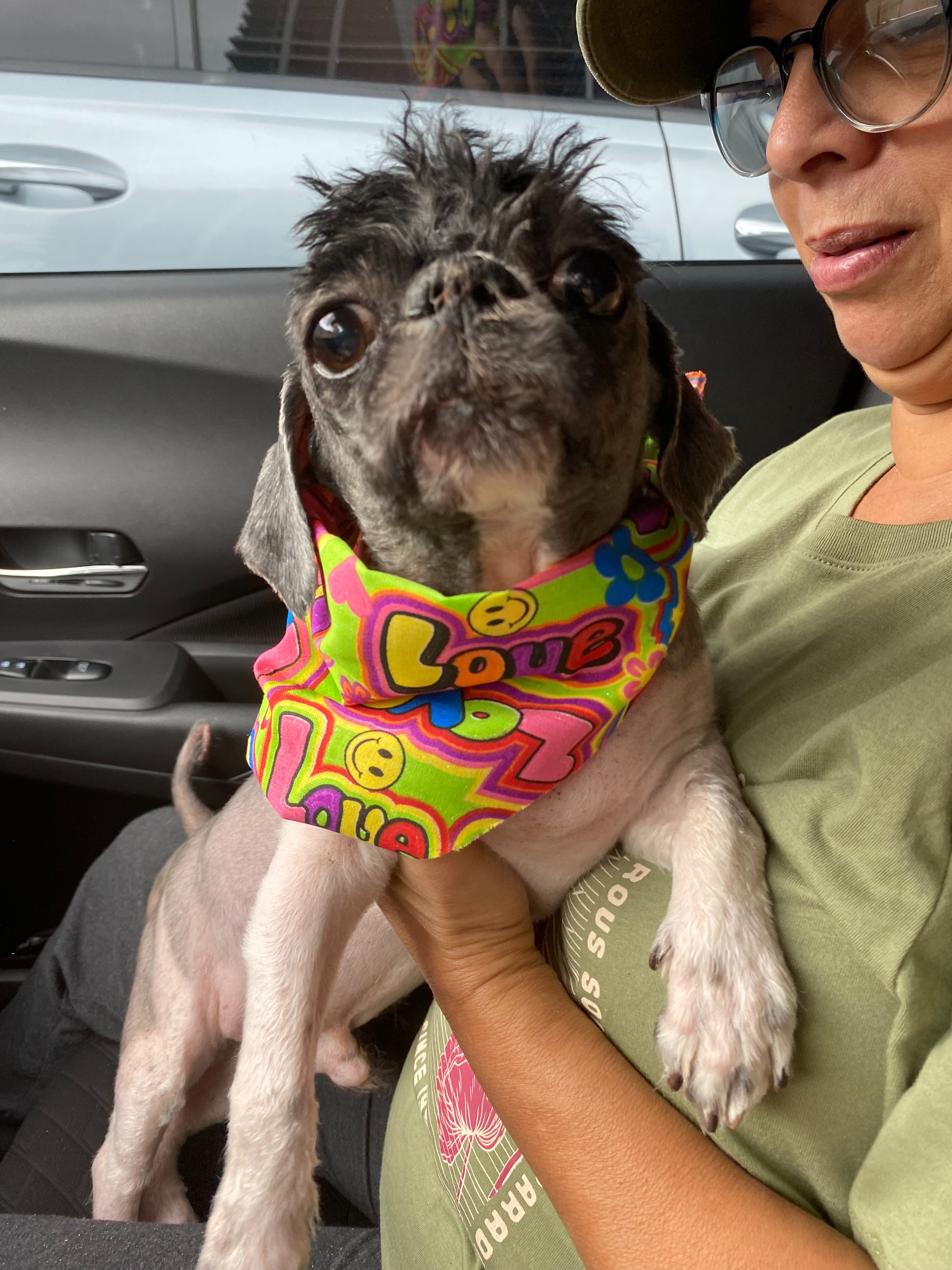 Help Bartolomeo Heal: Support His Eye Surgery campaign photo, 4 of 8