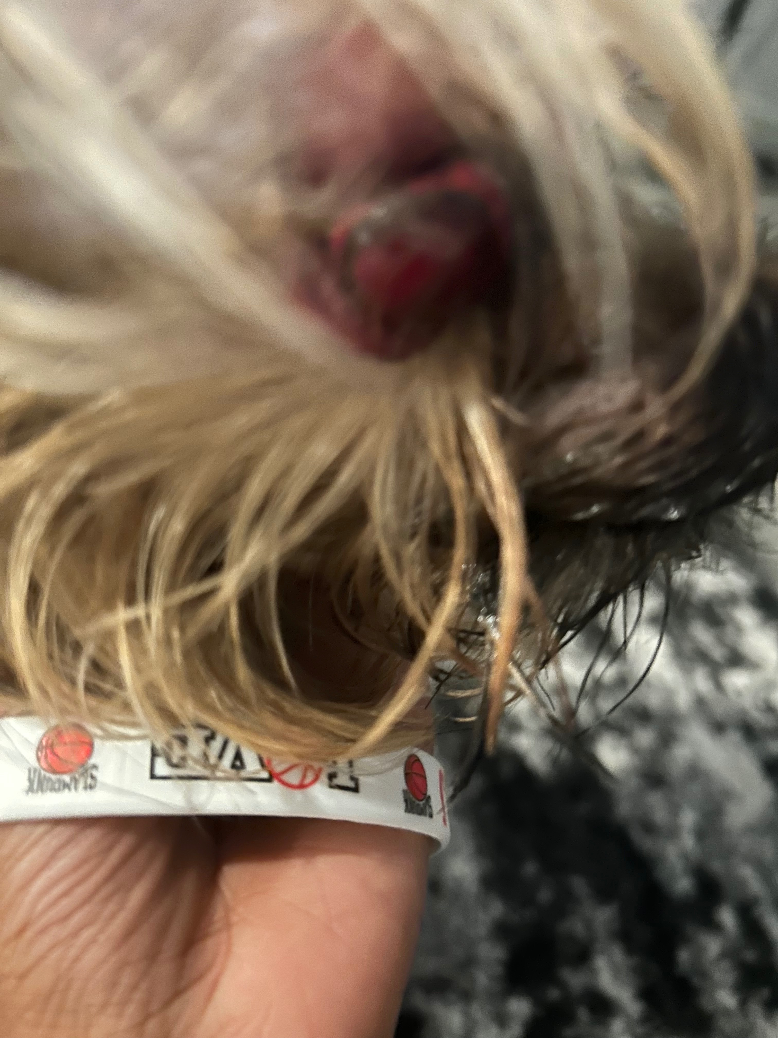 Help Nori Get Urgent Eye Surgery campaign photo, 4 of 8