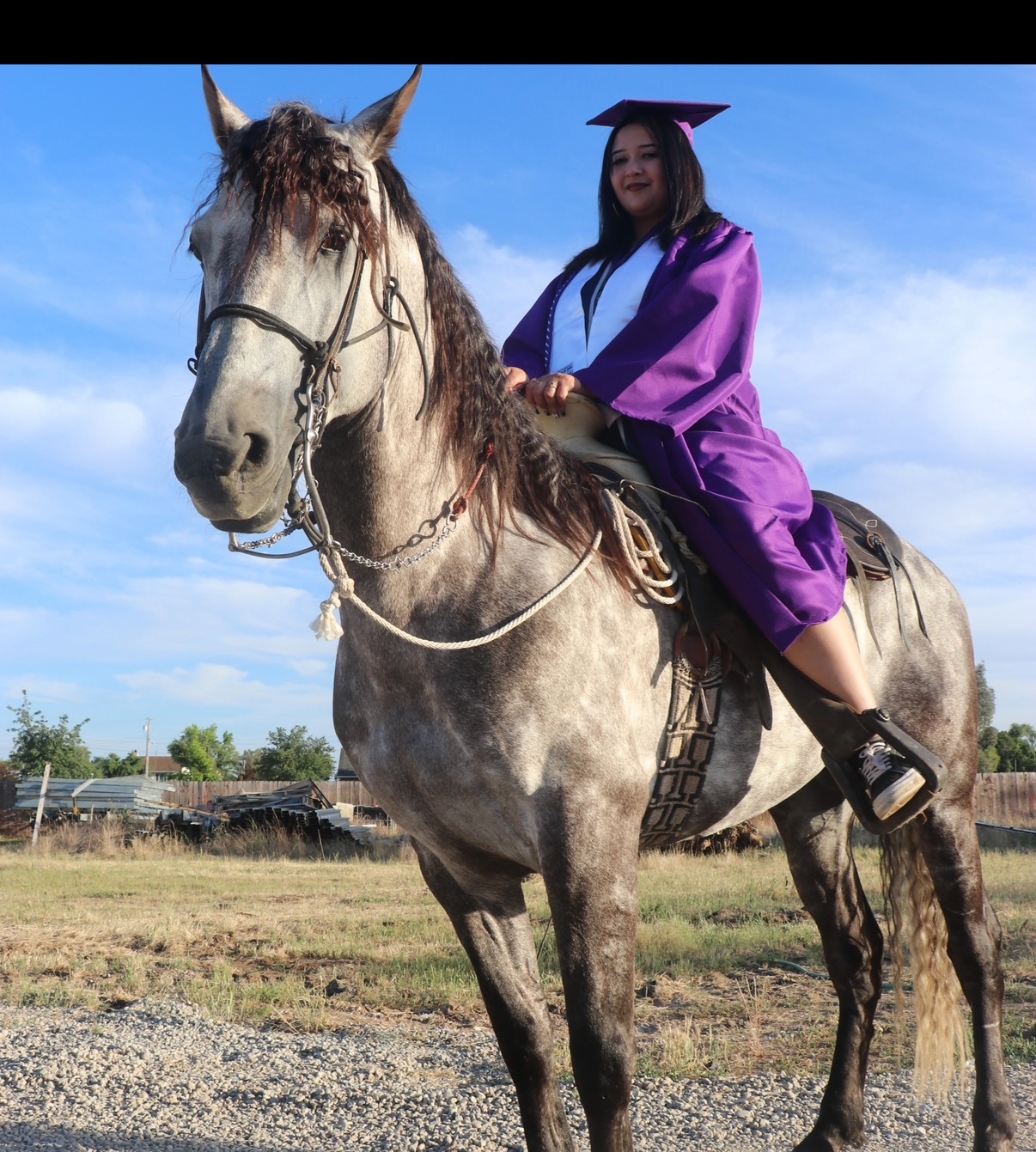 User-uploaded image 2