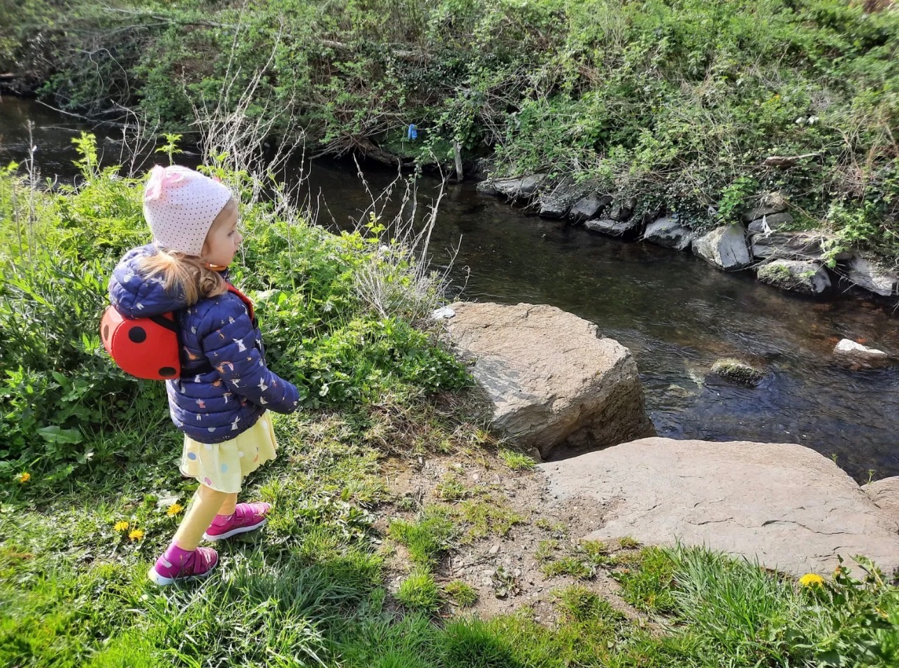 Immagine caricata dall'utente 1