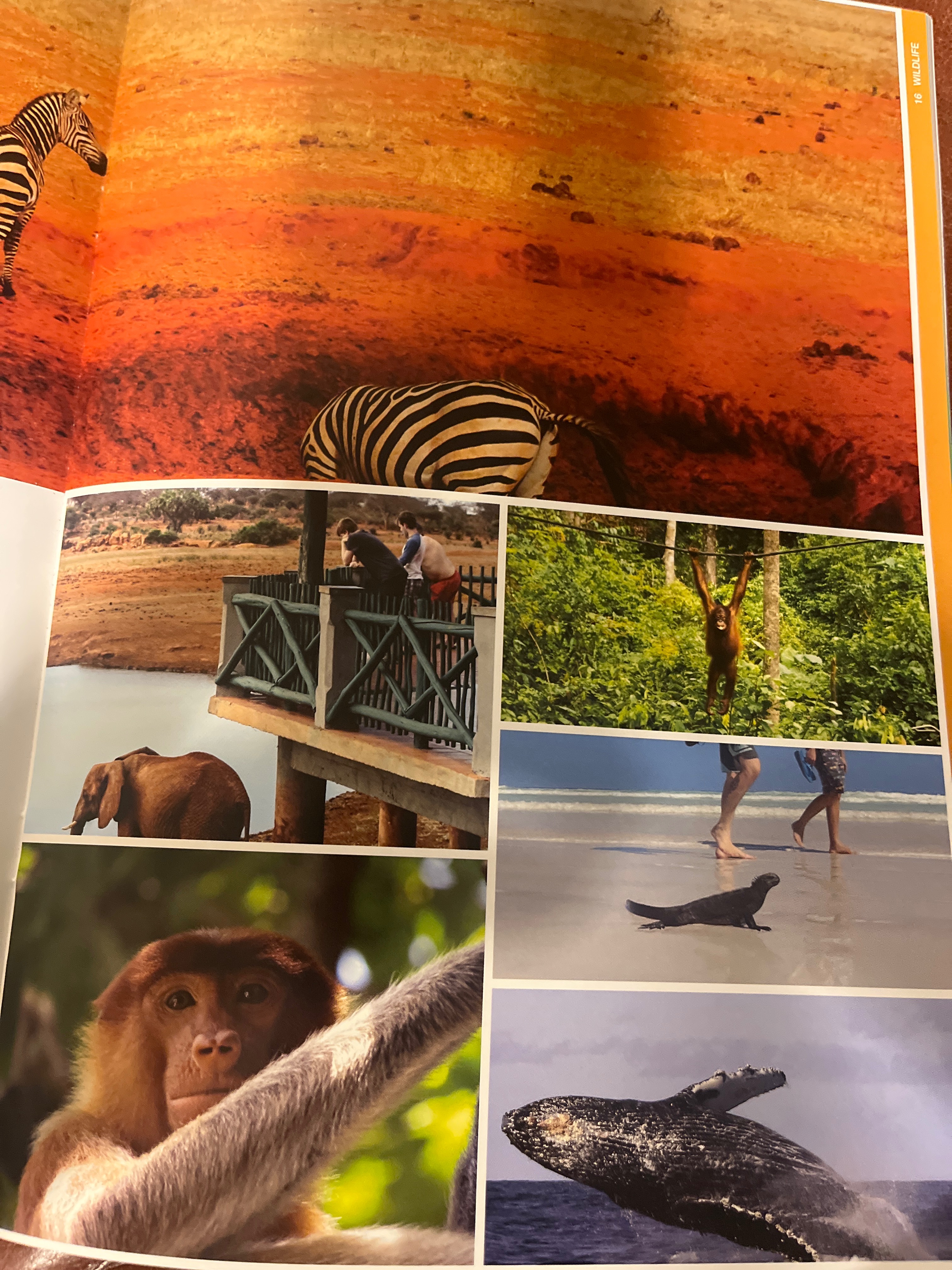 Josh’s School Trip to Borneo campaign photo, 2 of 5