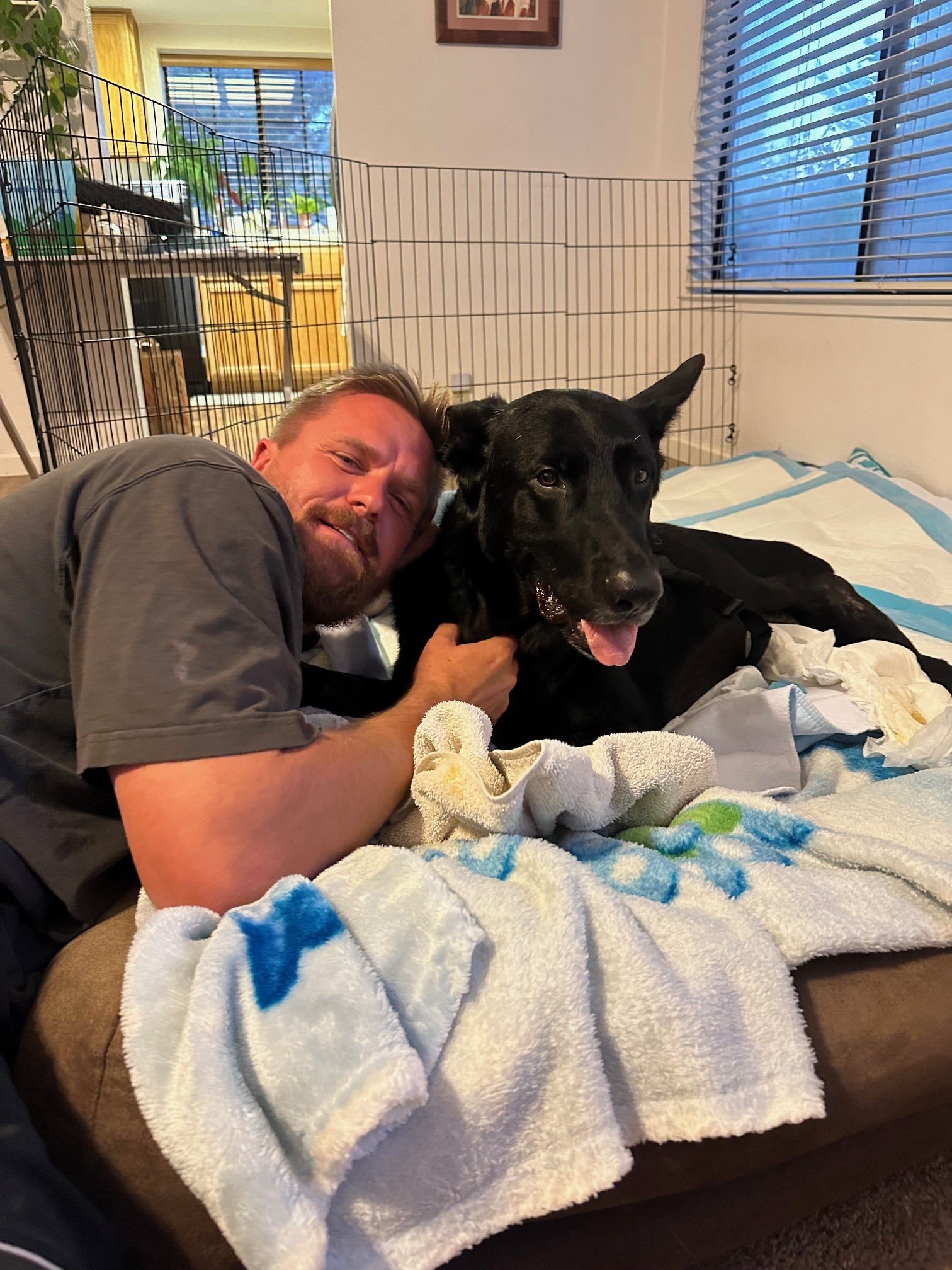 Helping Frank and His Humans on the Road to Recovery campaign photo, 4 of 6