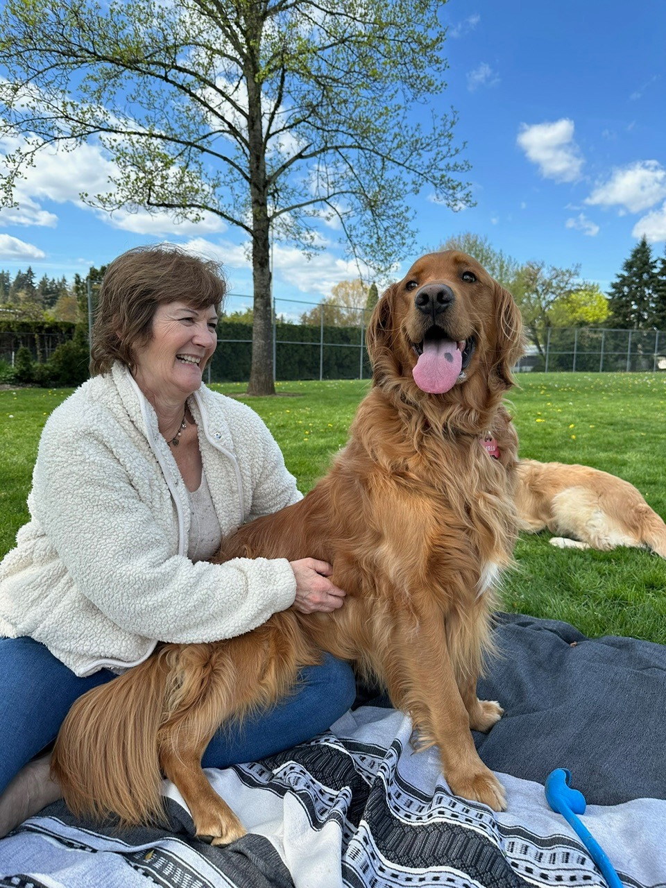 Help Save Arlo - The Sweetest Golden Boy campaign photo, 7 of 8
