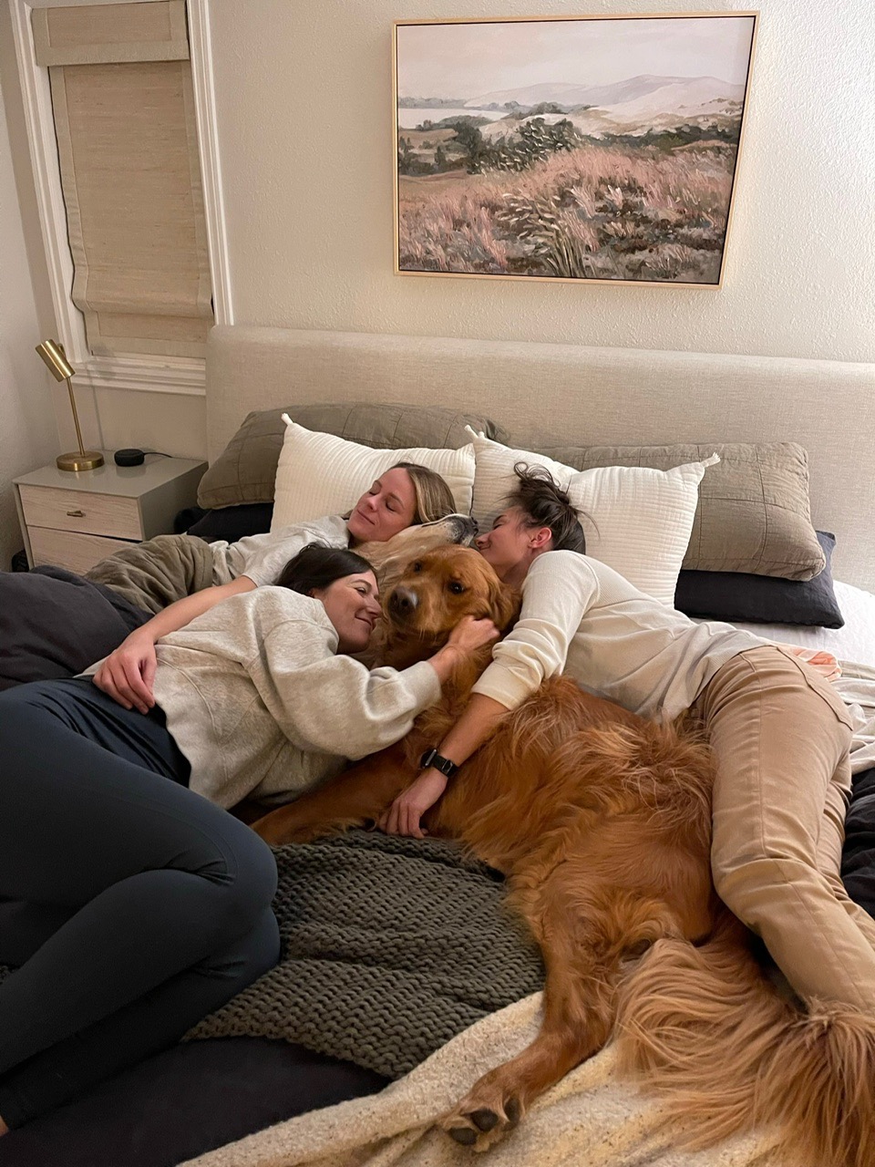 Help Save Arlo - The Sweetest Golden Boy campaign photo, 2 of 8