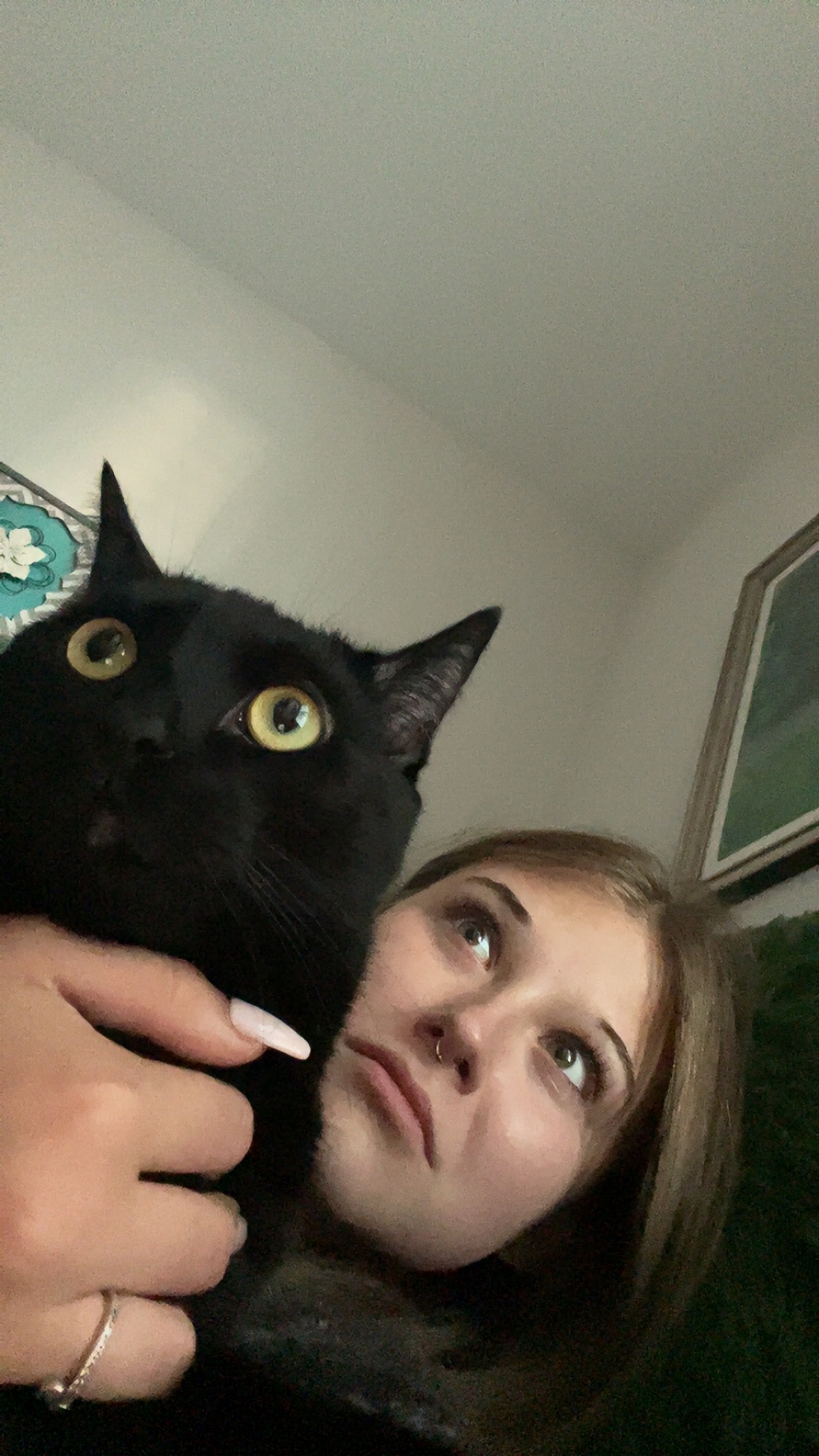 Help My Baby Saylem Get Emergency Vet Care campaign photo, 7 of 8