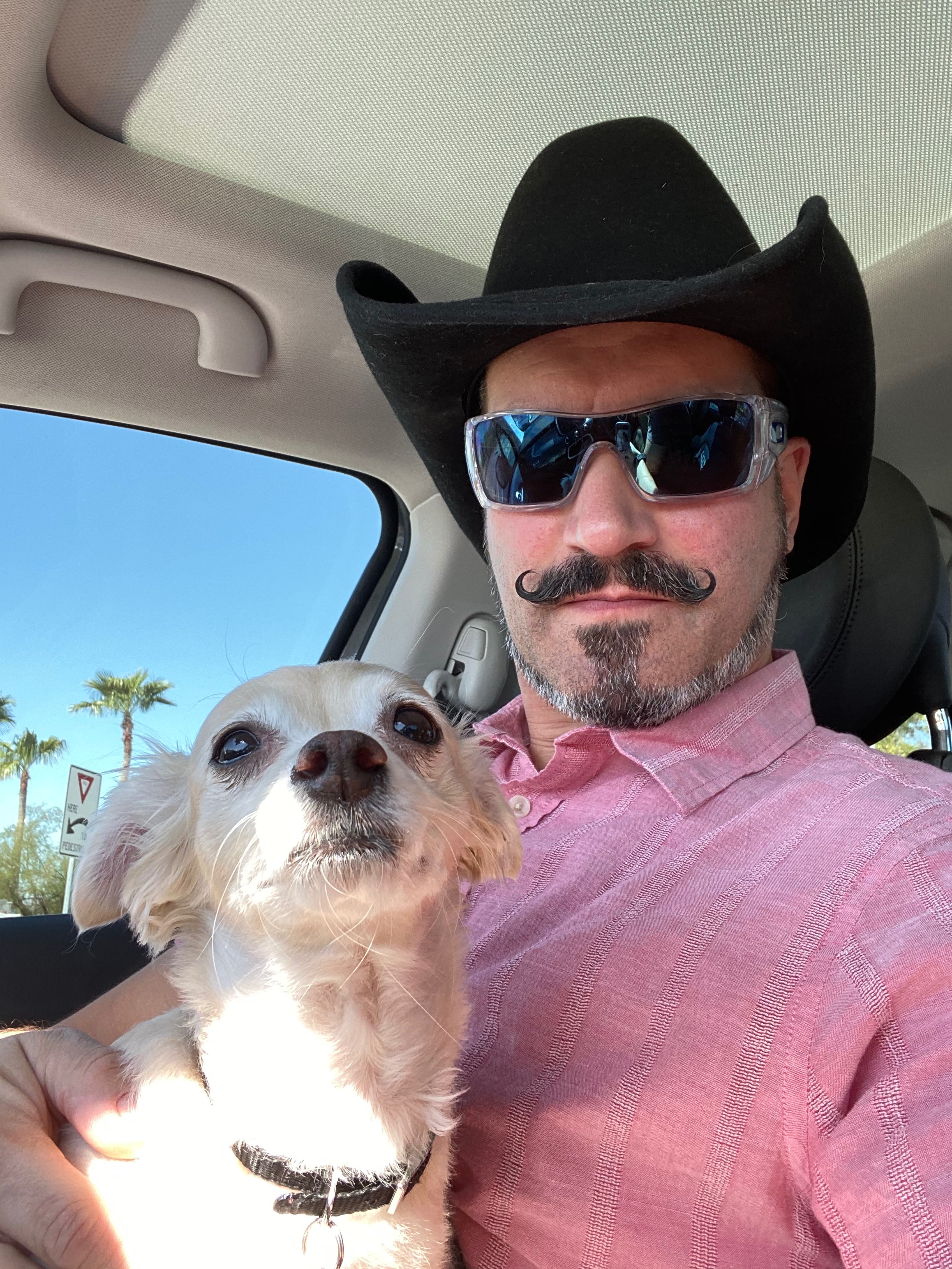 Help Me Save My Dog’s Life campaign photo, 6 of 8