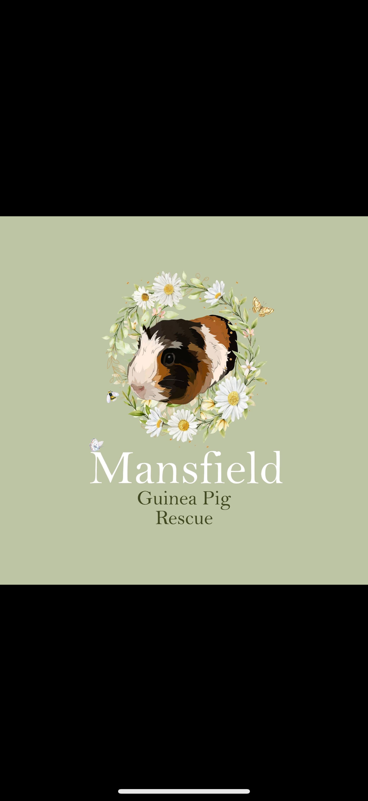 Mansfield guinea pig rescue with their running costs for Oct campaign photo, 2 of 4