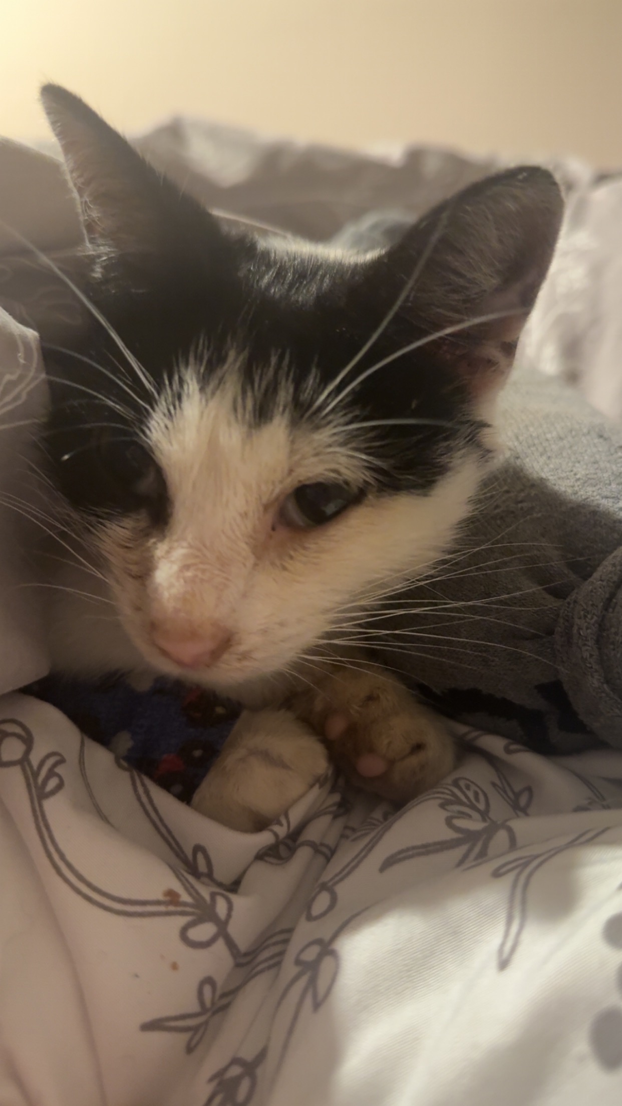 User-uploaded image 1